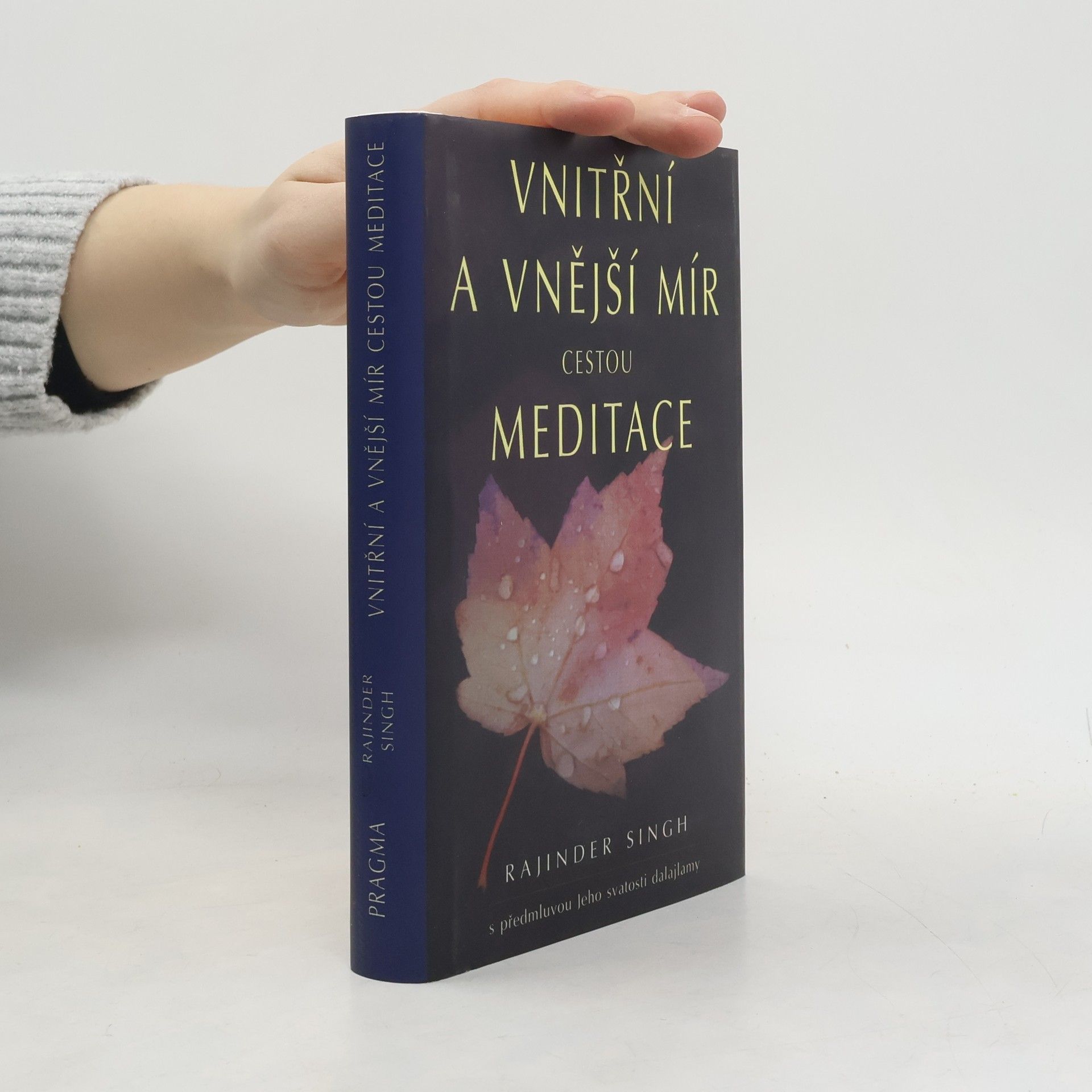 Rajinder Singh Vnitřní a vnější mír cestou meditace