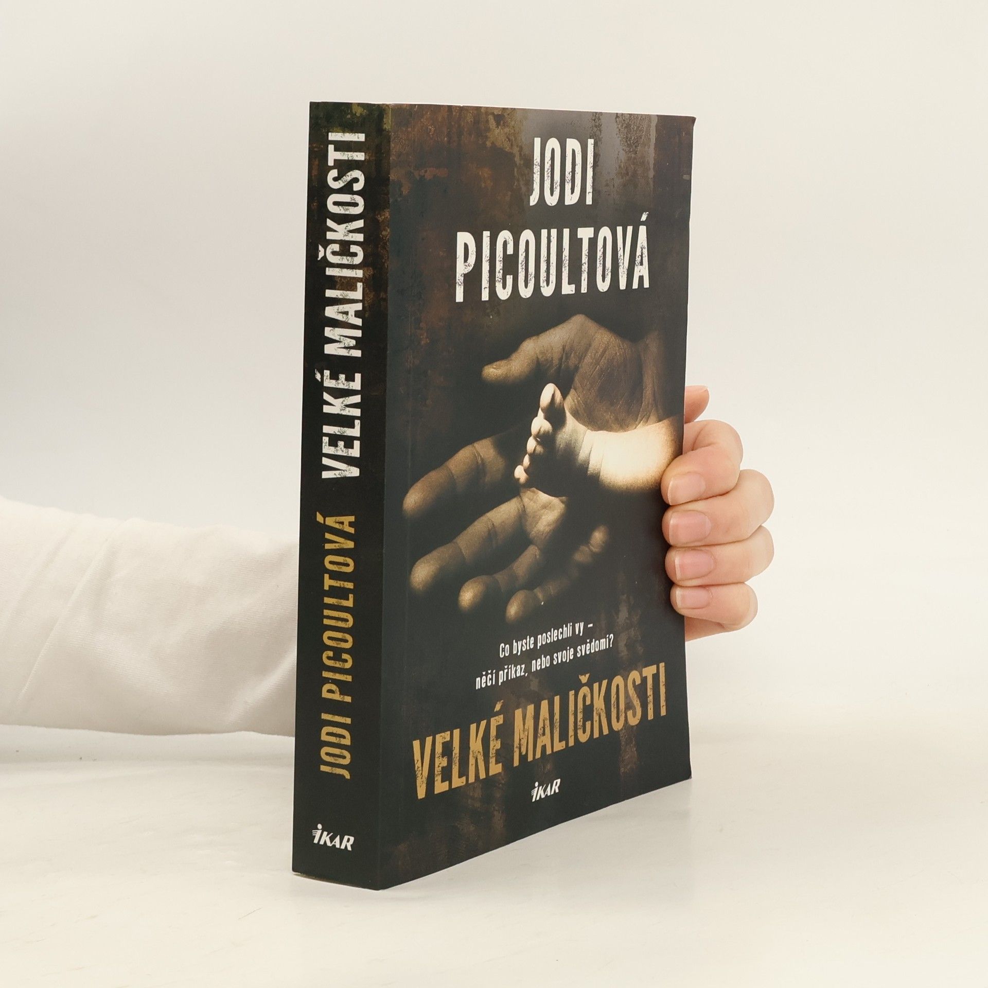 Jodi Picoult Velké maličkosti