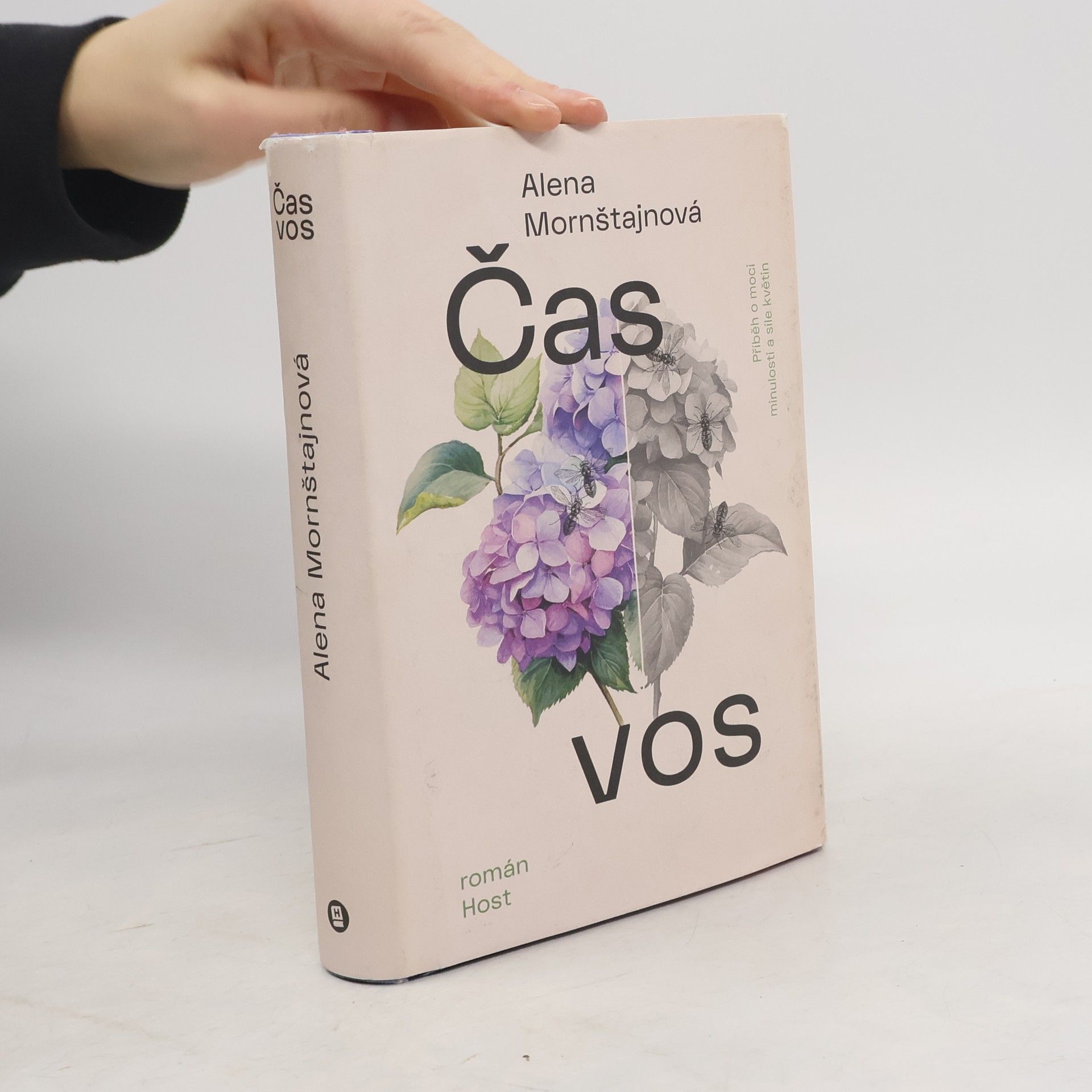 Alena Mornštajnová Čas vos