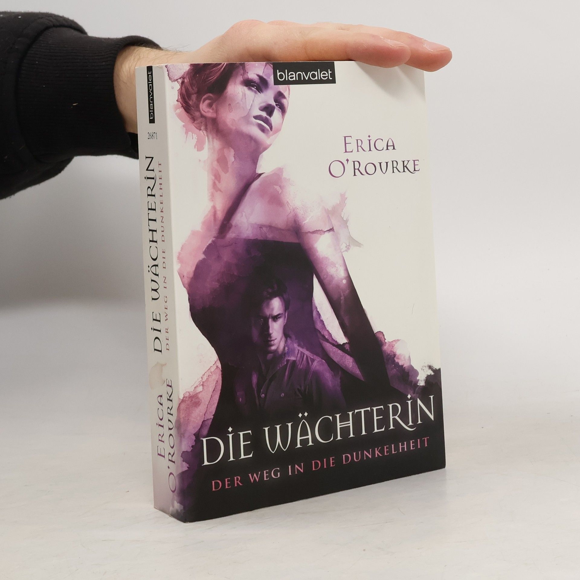 Erica O'Rourke Der Weg in die Dunkelheit