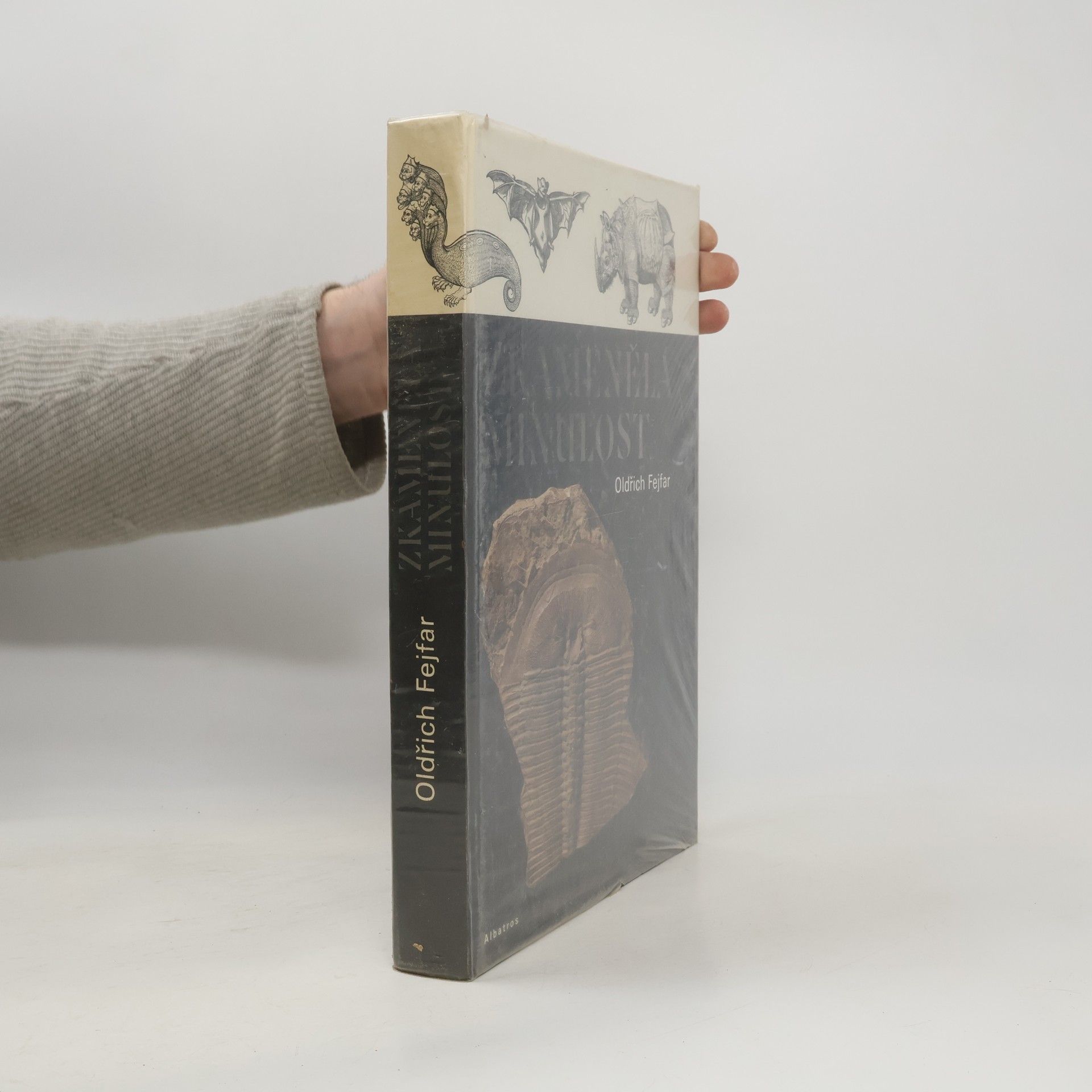 Pavel Štecha Zkamenělá minulost