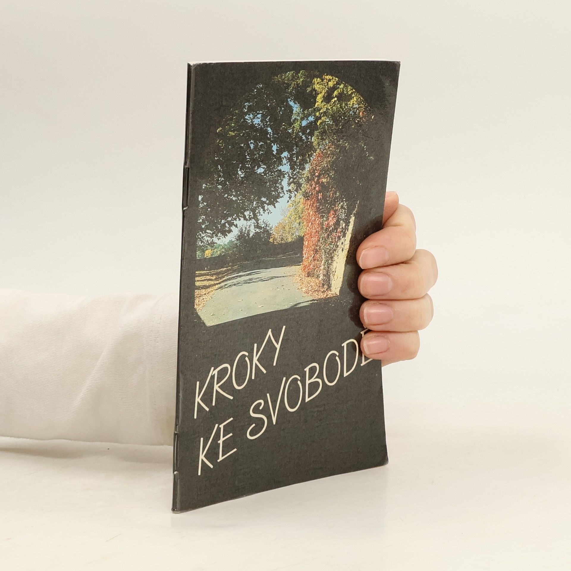 Collectif d'auteurs Kroky ke svobodě