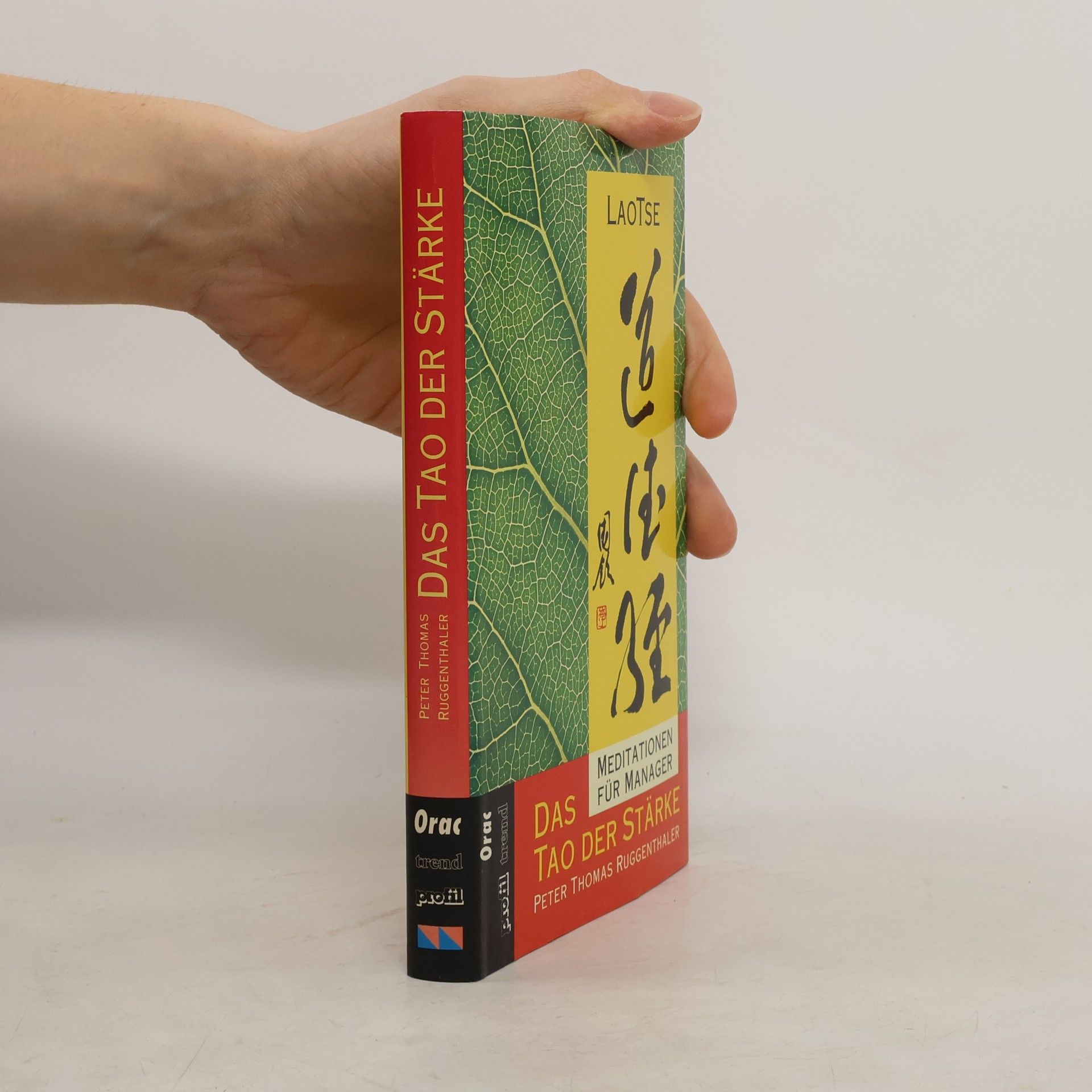 Lao Zi Das Tao der Stärke
