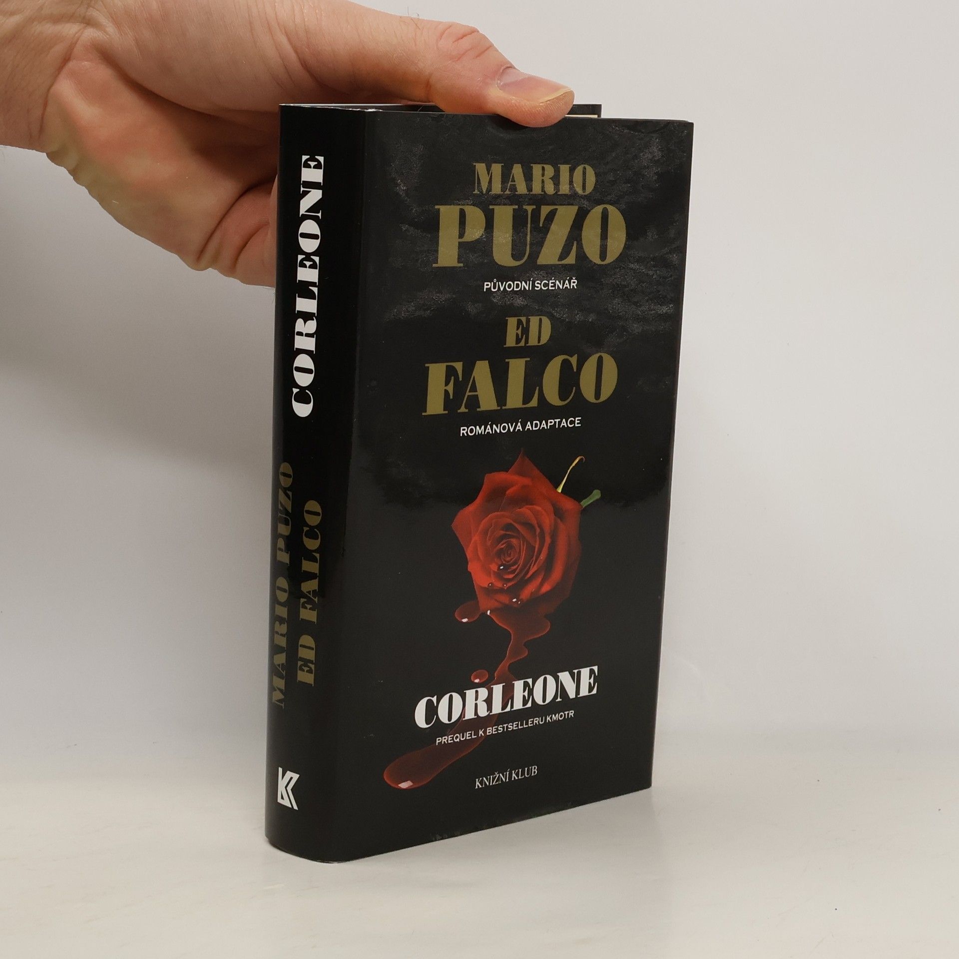 Corleone : prequel k bestselleru Kmotr