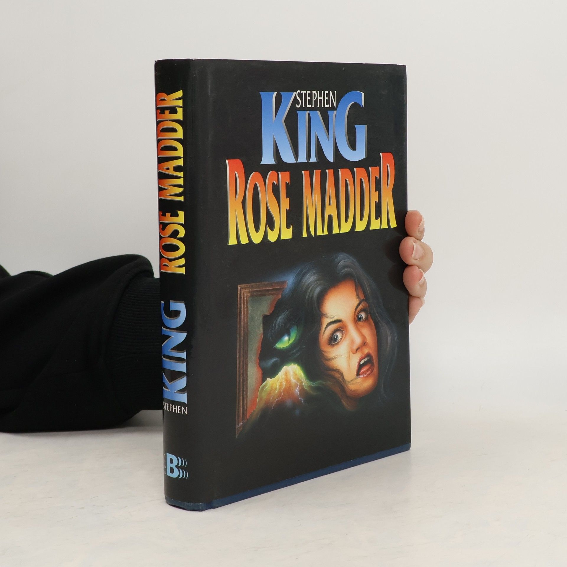 Stephen King Rose Madder