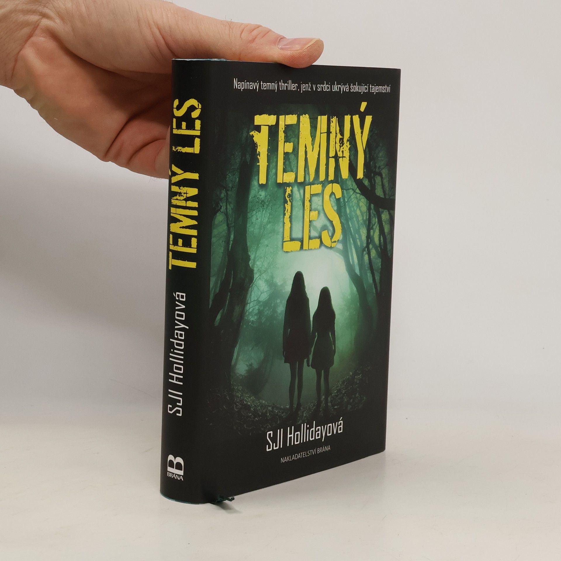 S. J. I. Susan Jennifer Inglis Holliday Temný les