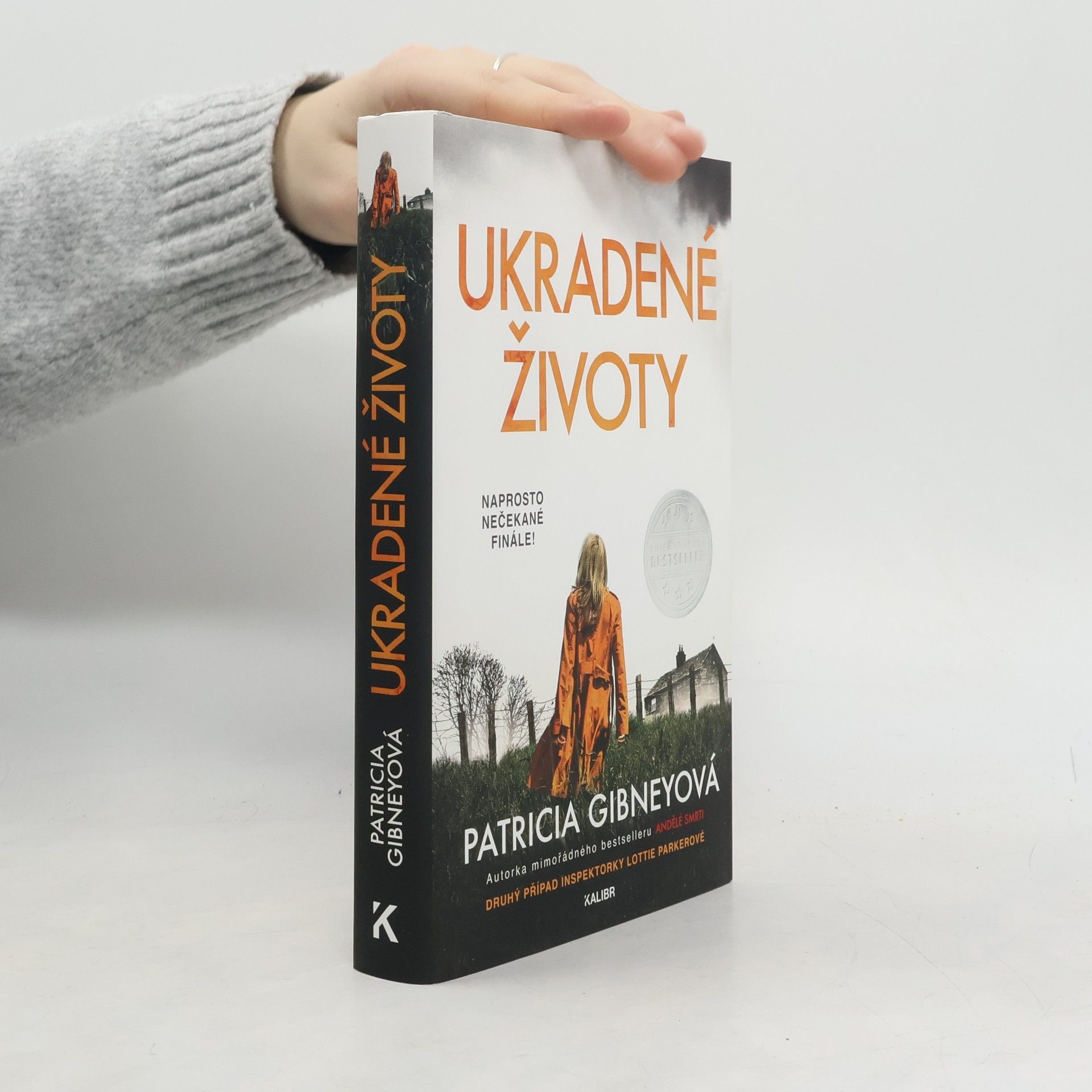 Patricia Gibney Ukradené životy