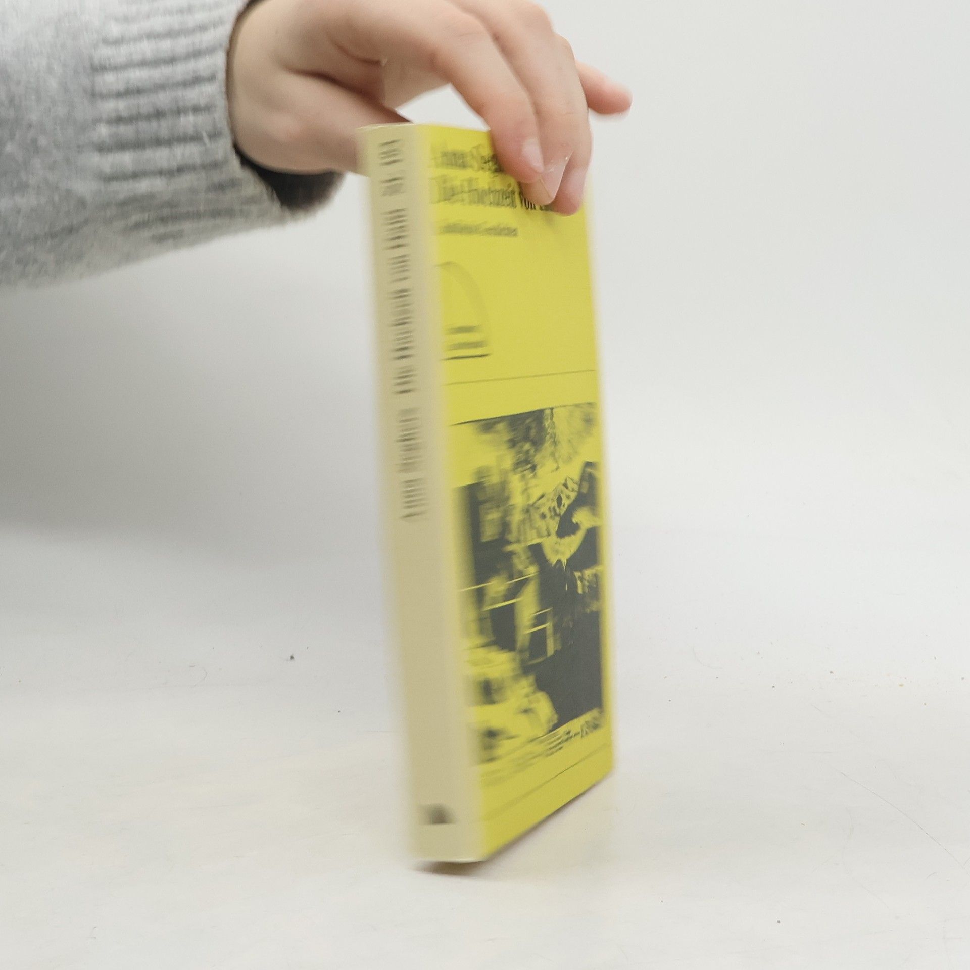 Anna Seghers Die Hochzeit von Haiti