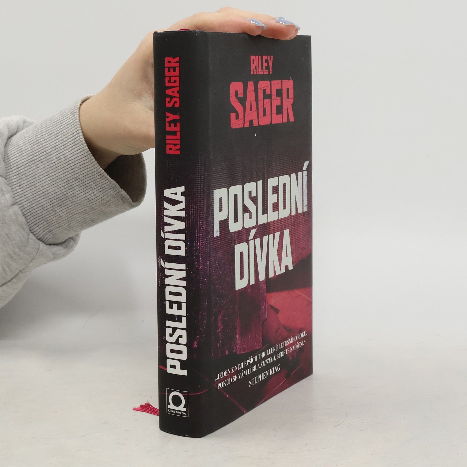 Todd Ritter Poslední dívka