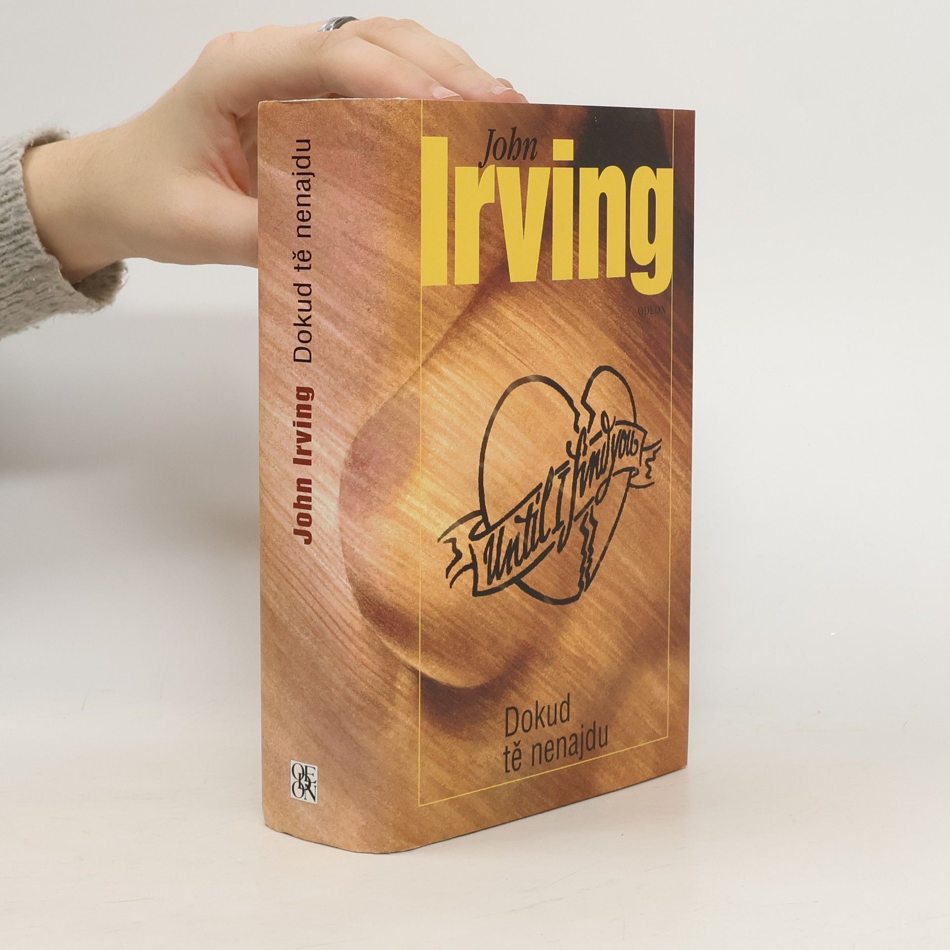 John Irving Dokud tě nenajdu