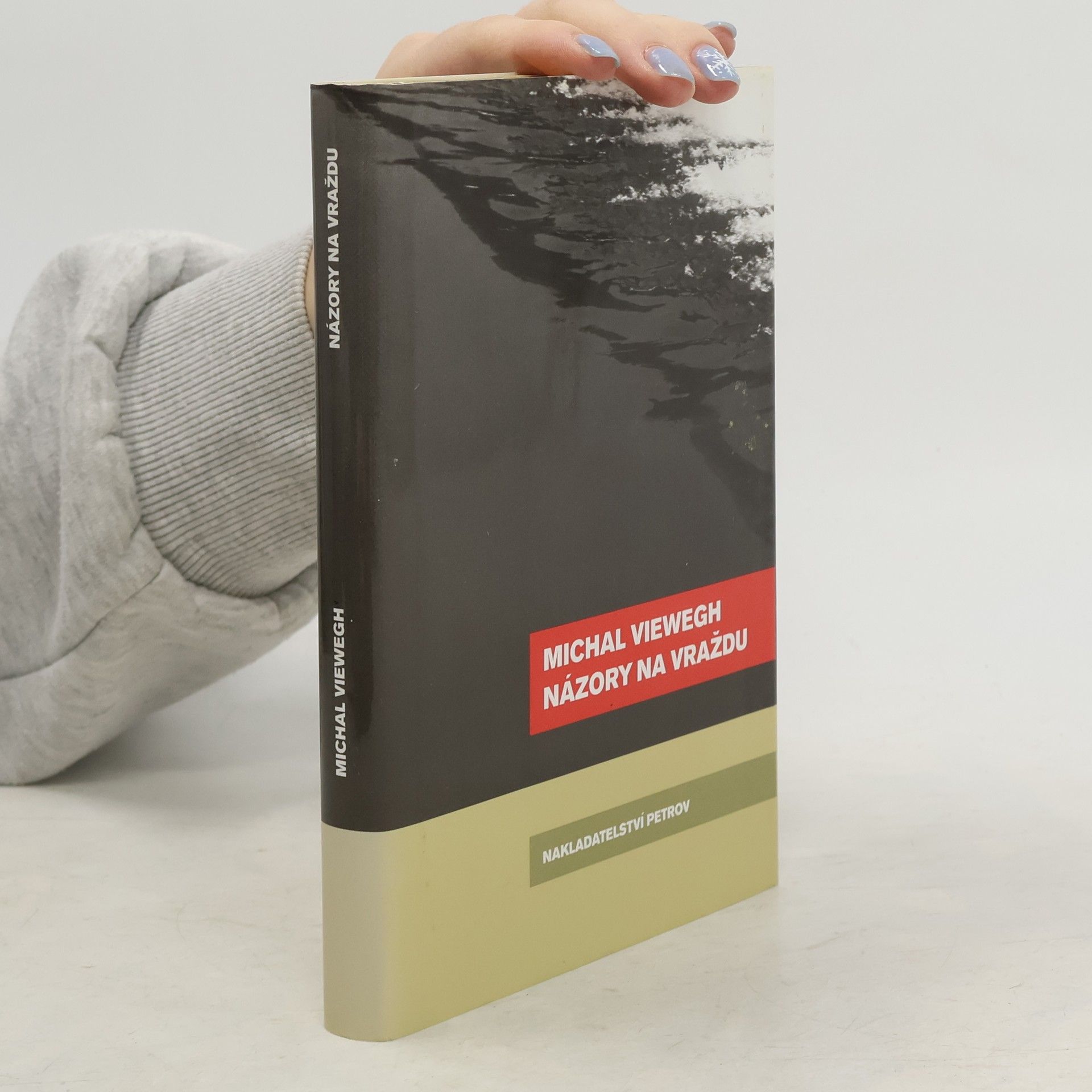 Michal Viewegh Názory na vraždu