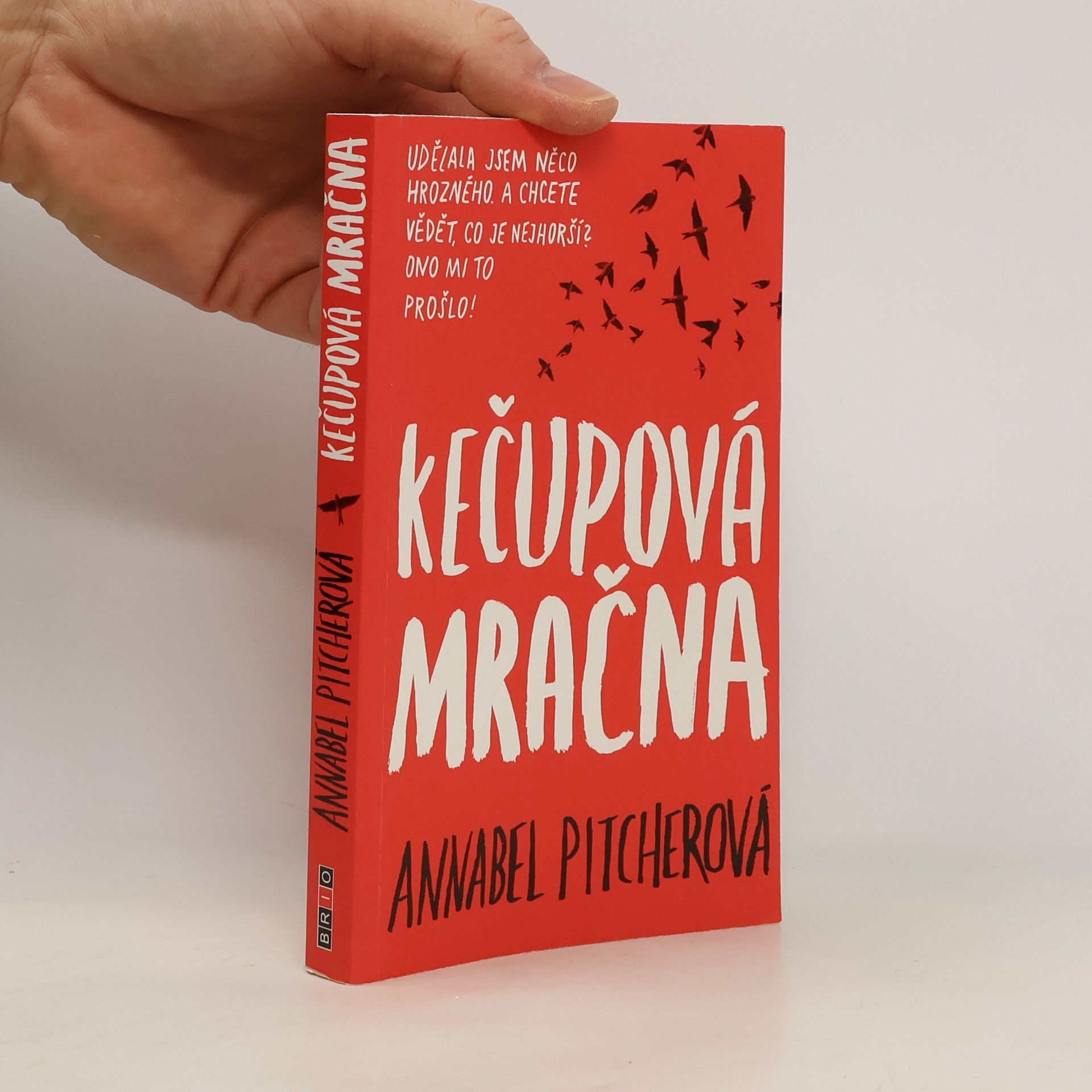 Annabel Pitcher Kečupová mračna