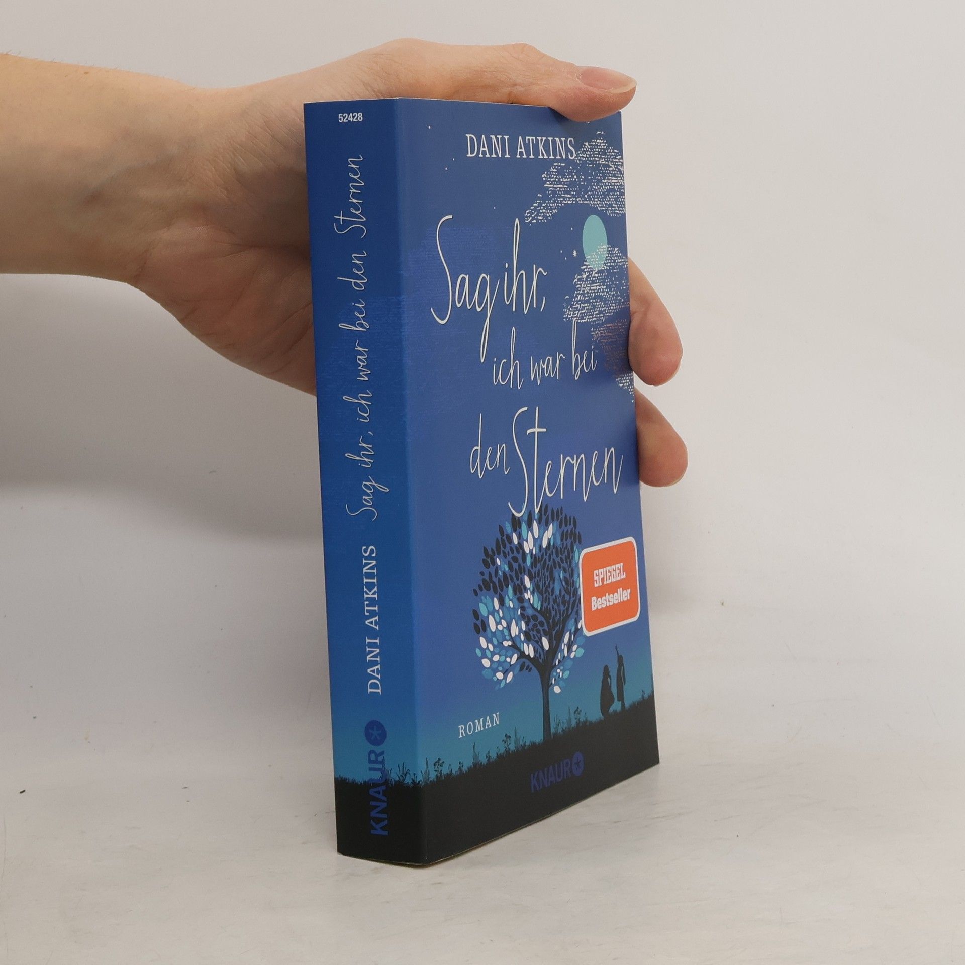 Dani Atkins Sag ihr, ich war bei den Sternen