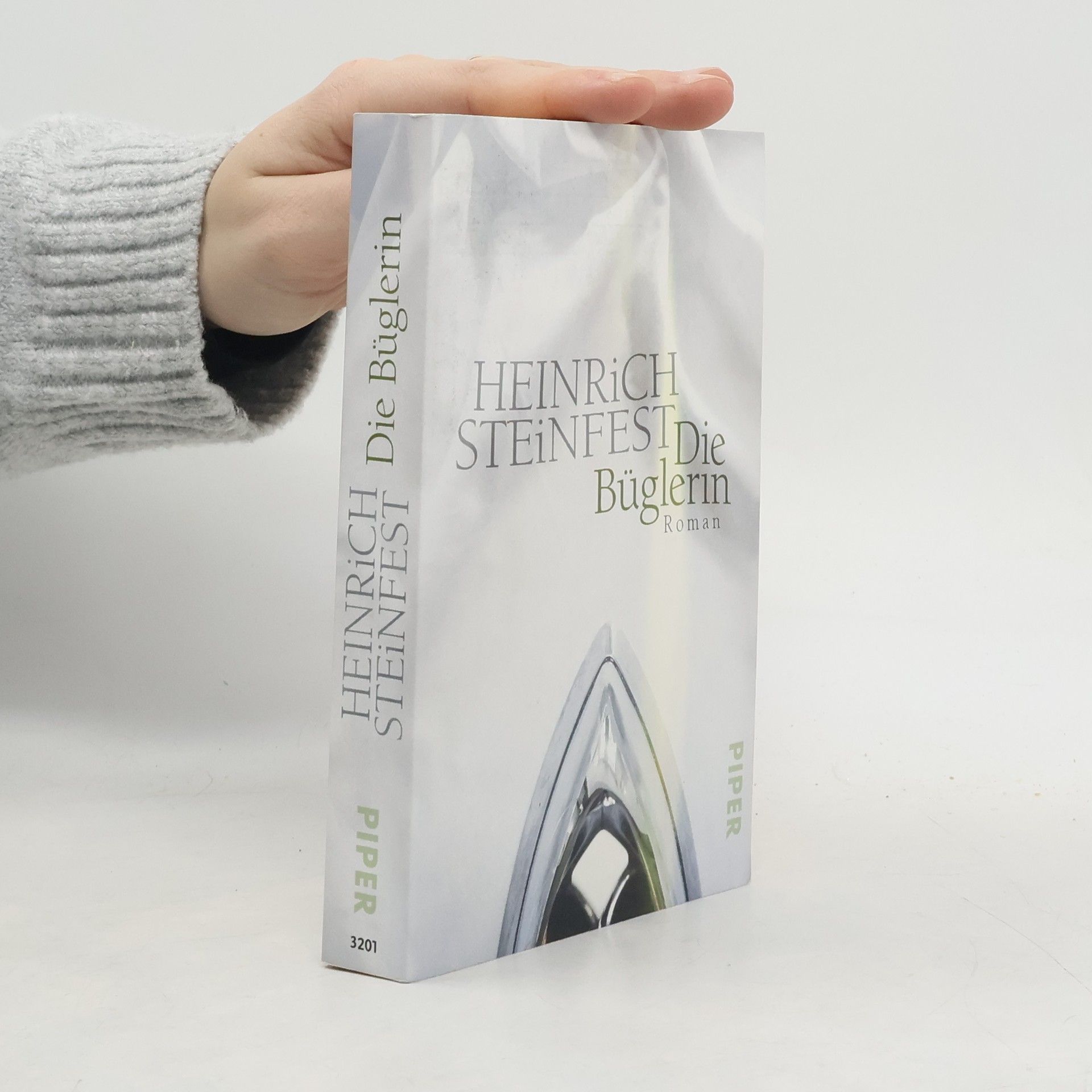 Heinrich Steinfest Die Büglerin