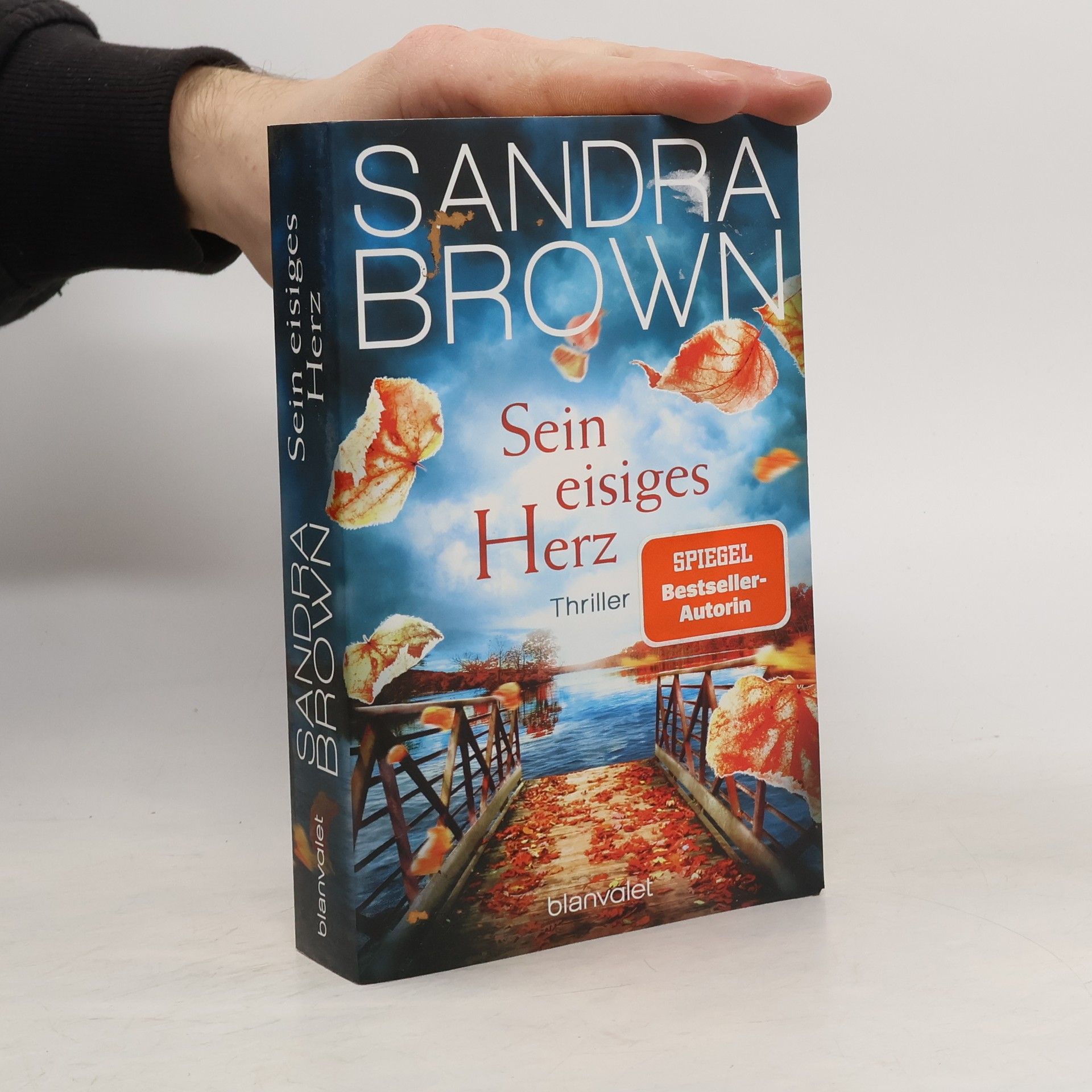 Sandra Brown Sein eisiges Herz