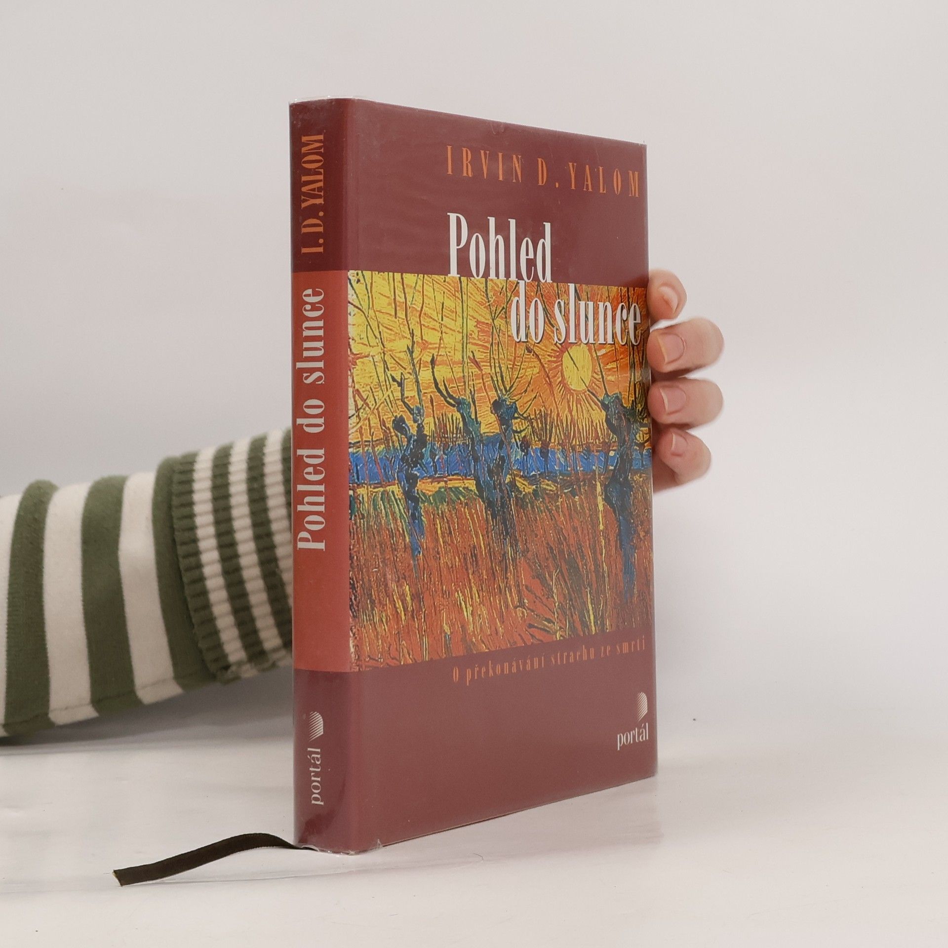 Irvin D. Yalom Pohled do slunce