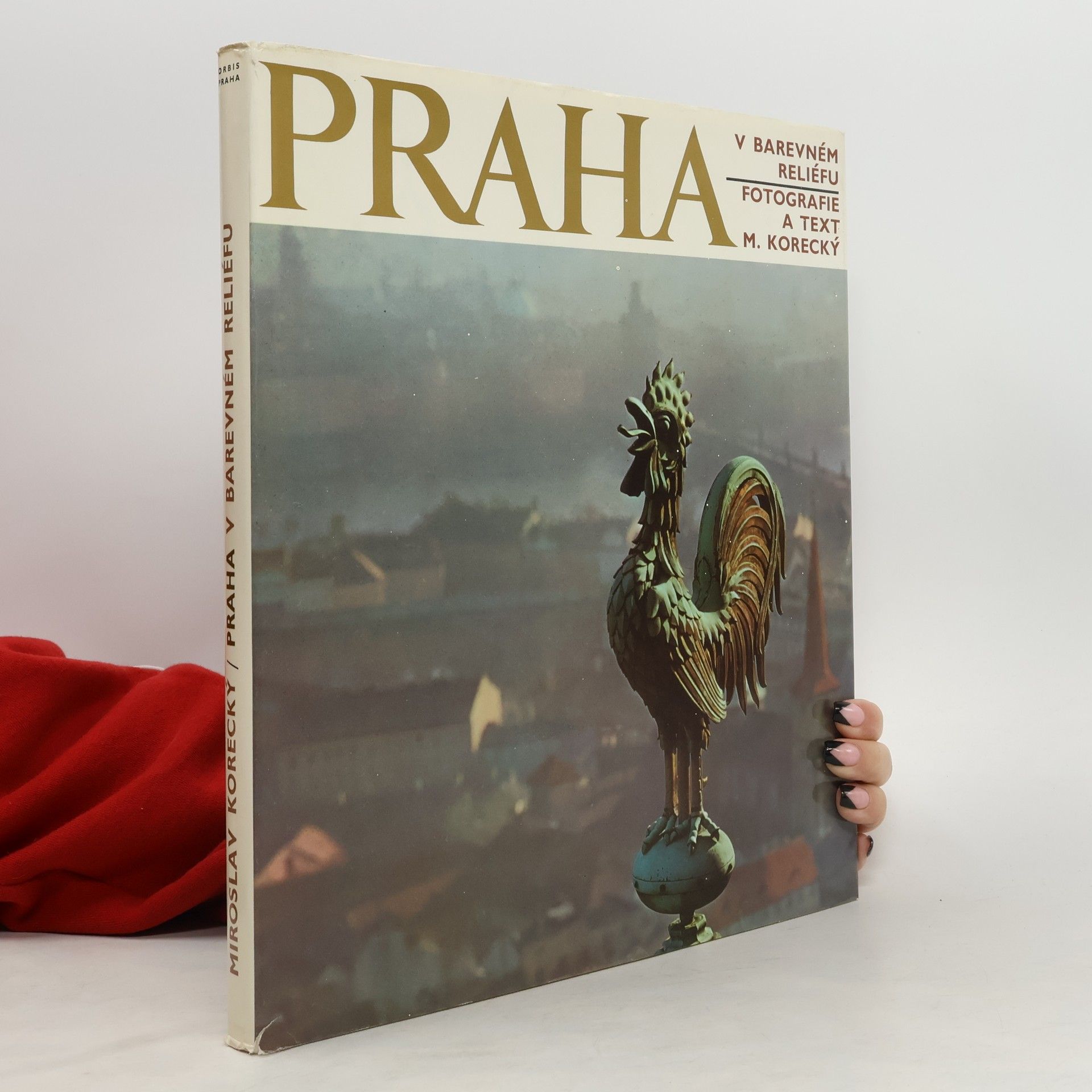 Praha v barevném reliéfu