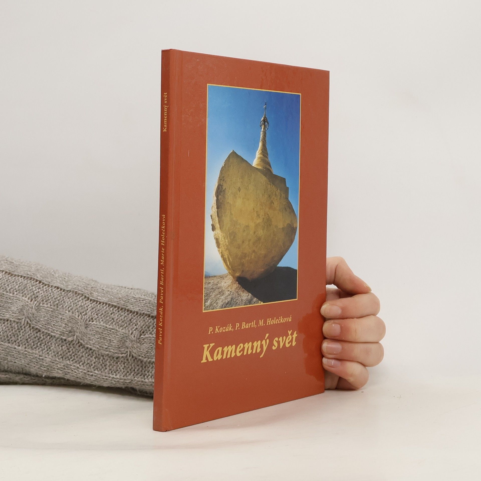 Marie Holečková Kamenný svět