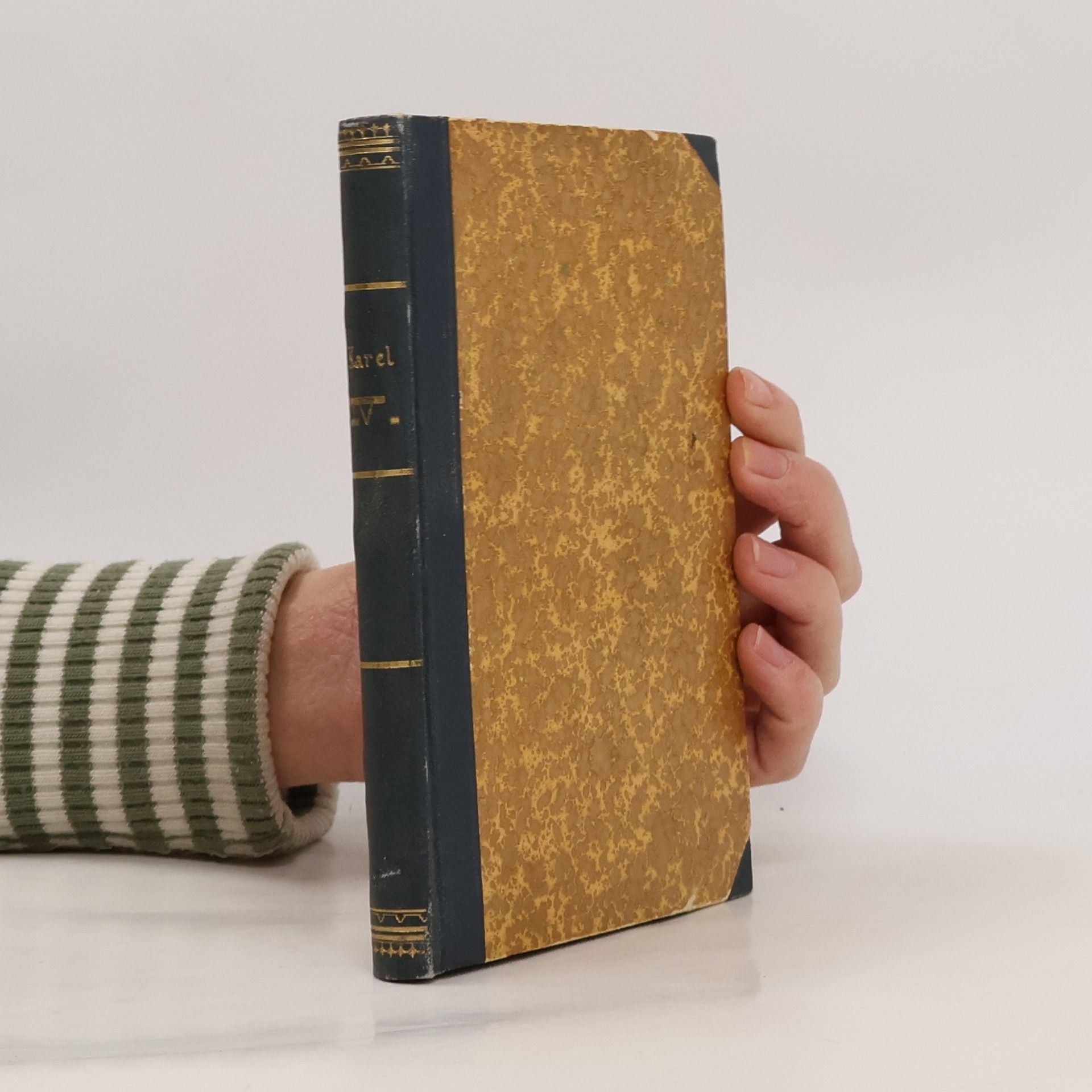 Josef Kalousek Karel IV, Otec Vlasti