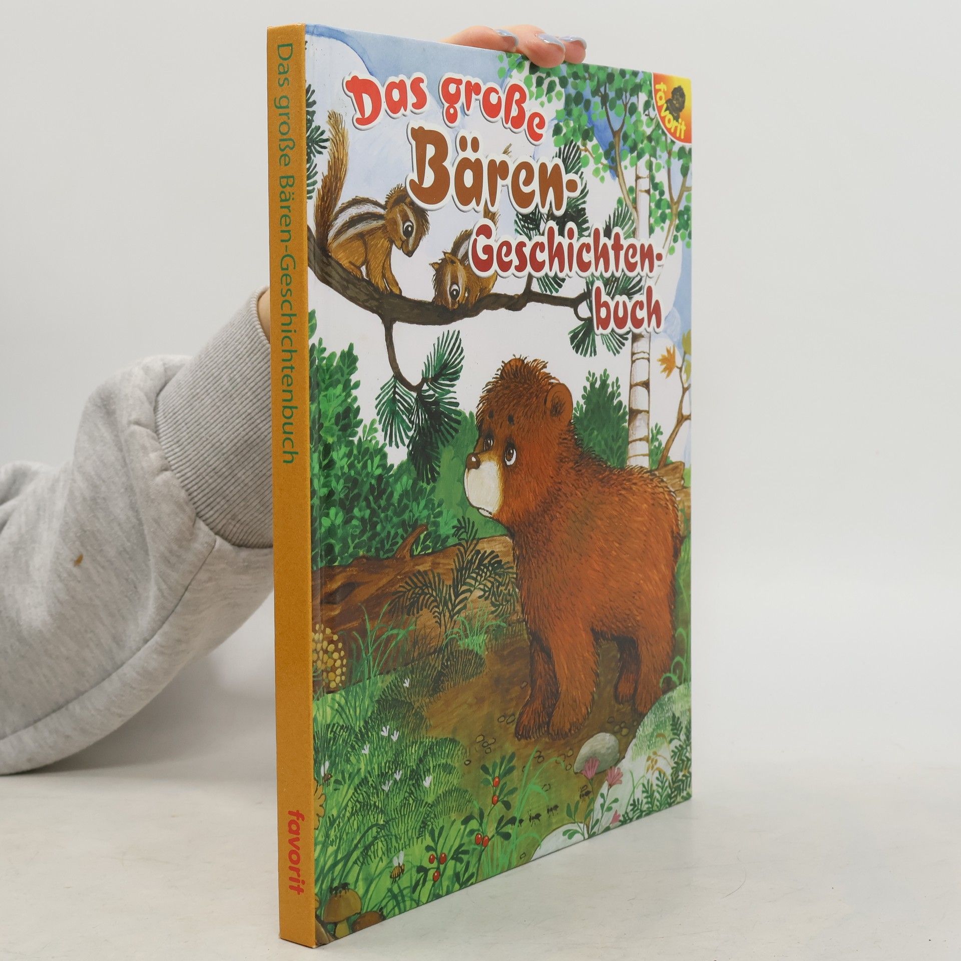 Mario Covi Das große Bären-Geschichtenbuch