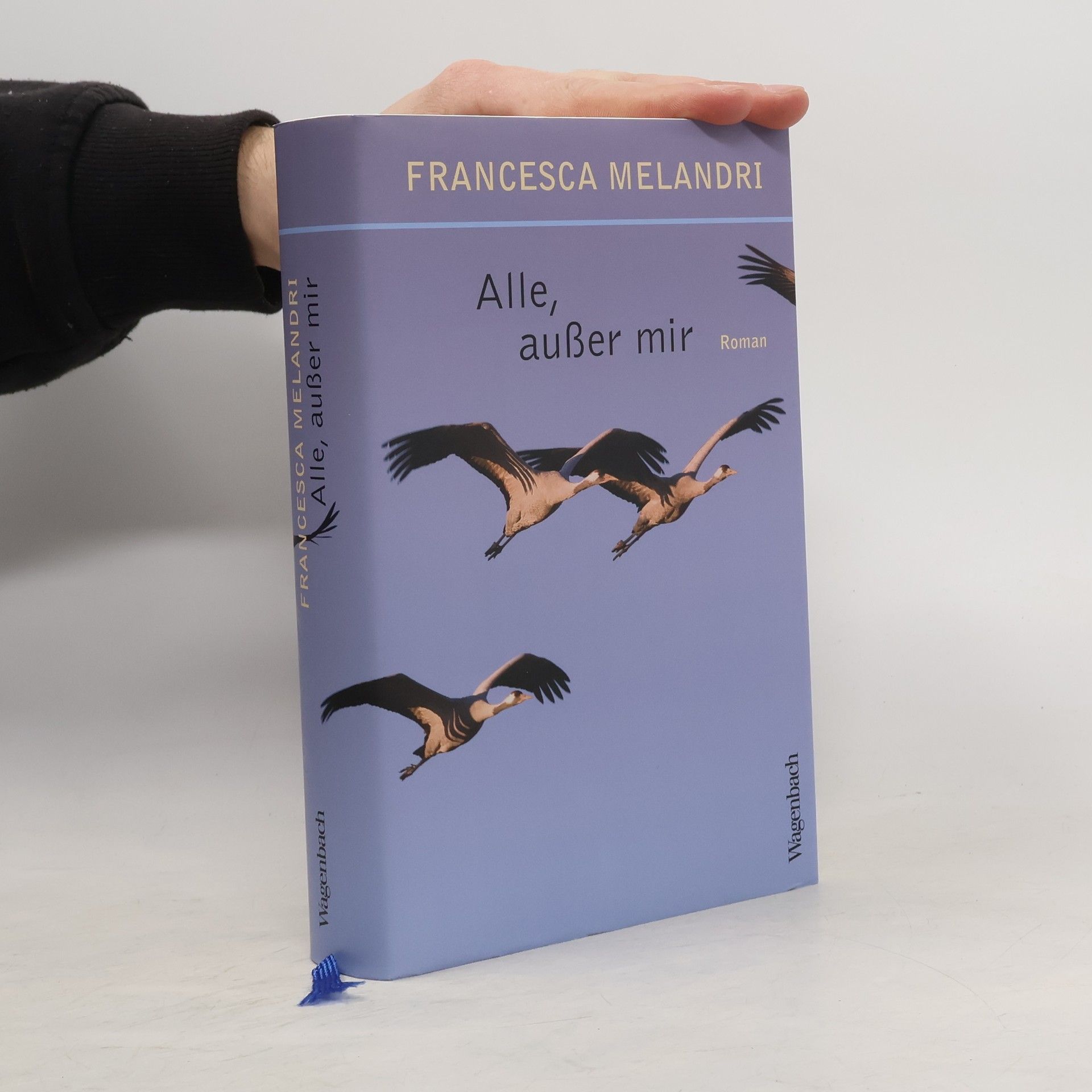 Francesca Melandri Alle, außer mir