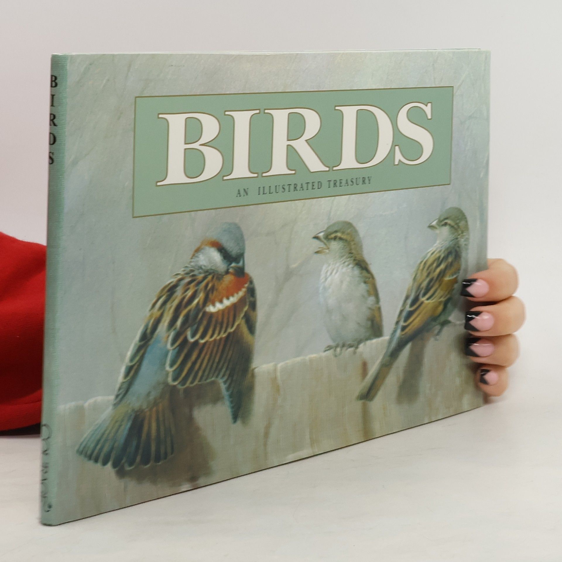 Michelle Lovric Birds