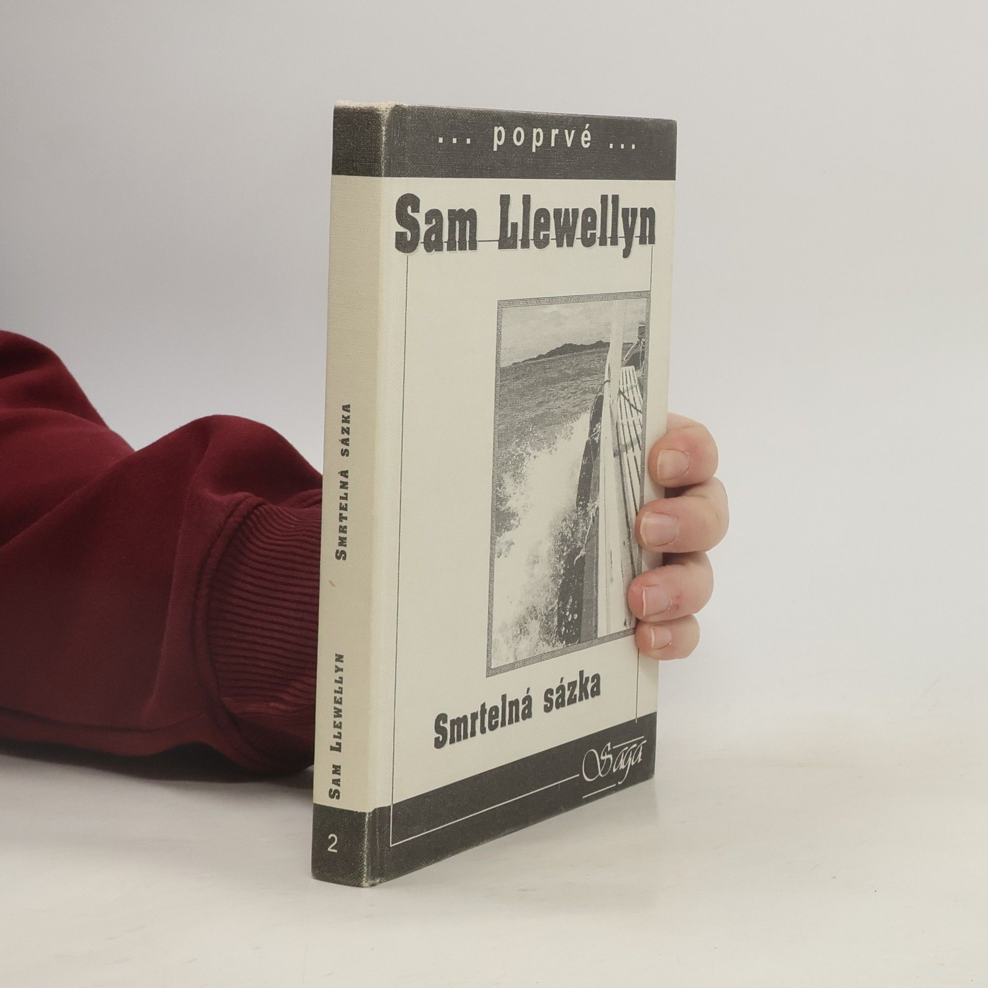 Sam Llewellyn Smrtelná sázka