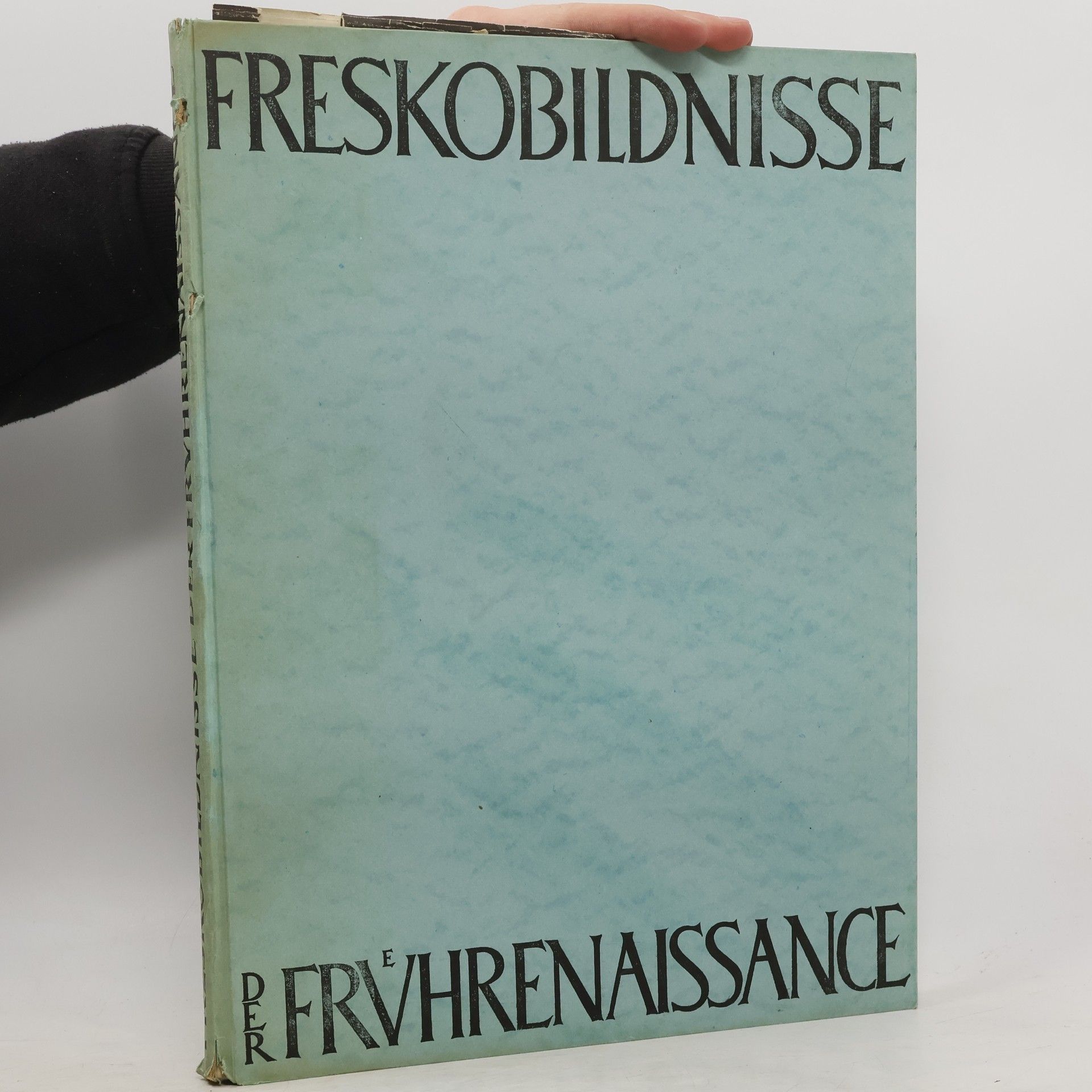 Autorenkollektiv Freskobildnisse der Frvhrenaissance
