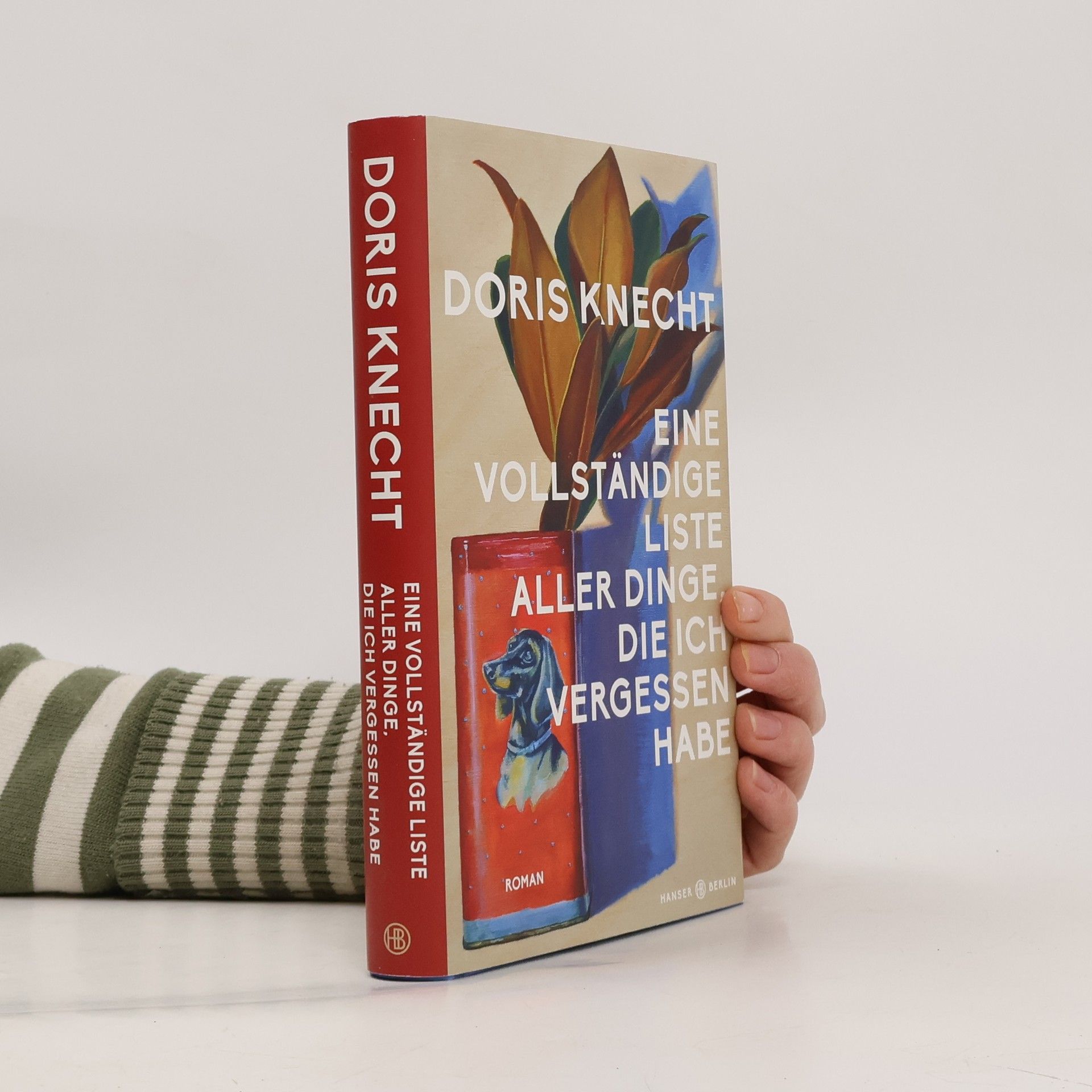 Doris Knecht Eine vollständige Liste aller Dinge, die ich vergessen habe