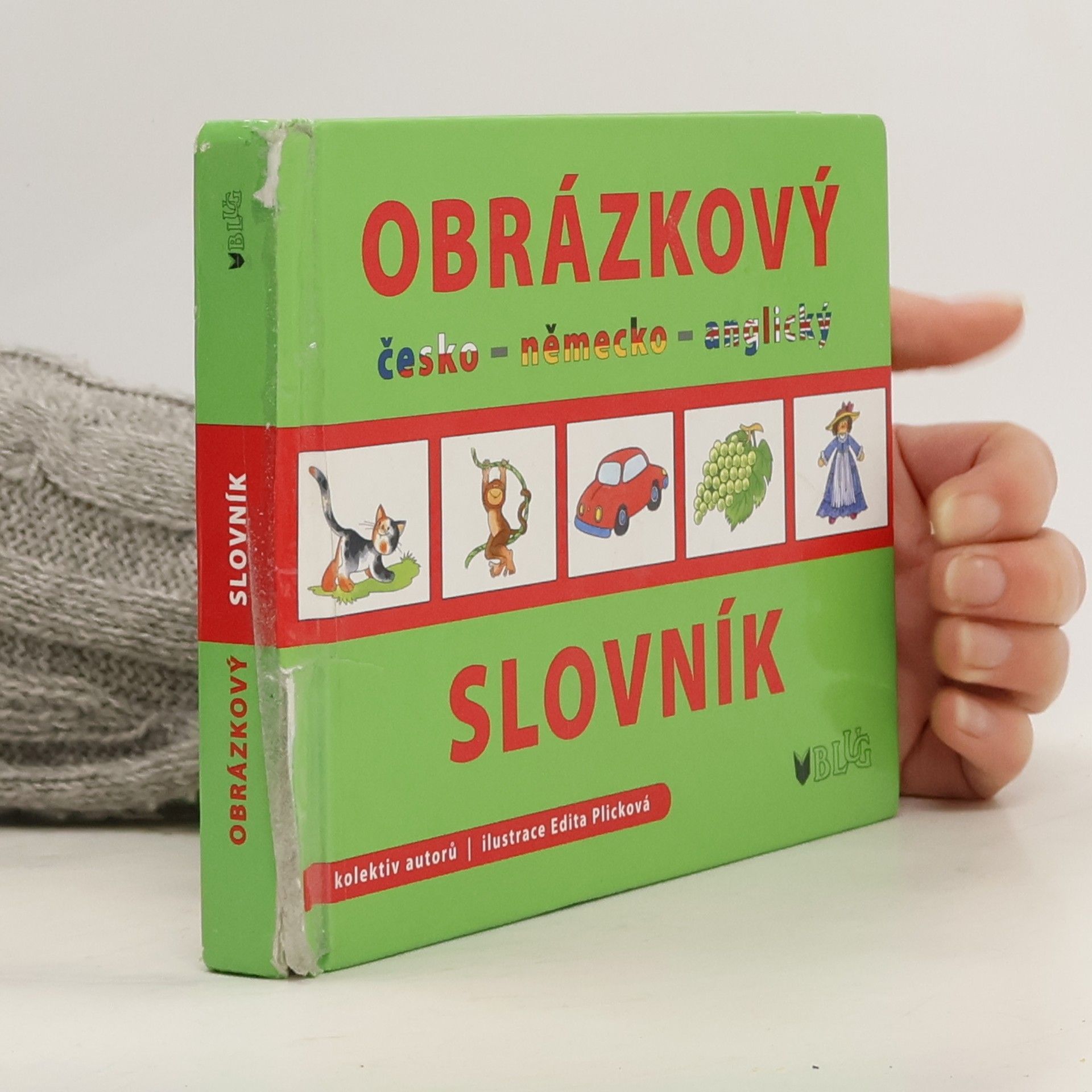 Plicková Edita Obrázkový slovník: česko - německo - anglický