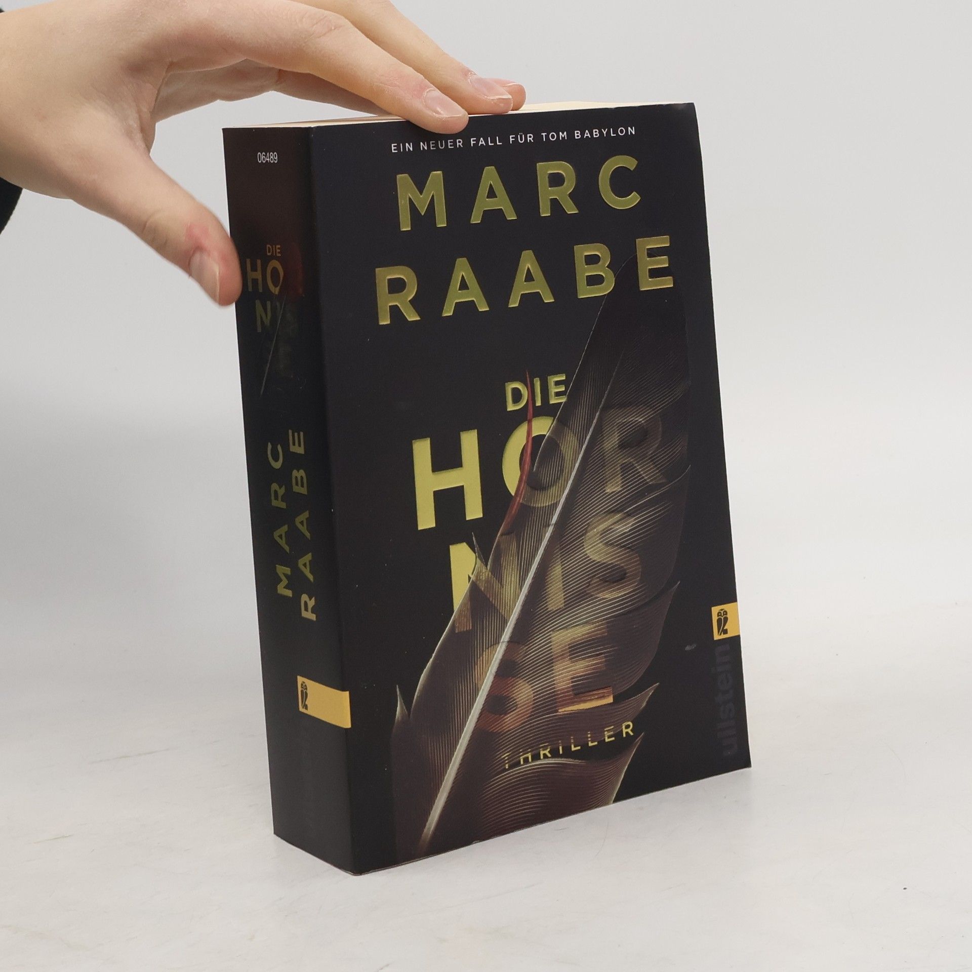 Marc Raabe Die Hornise