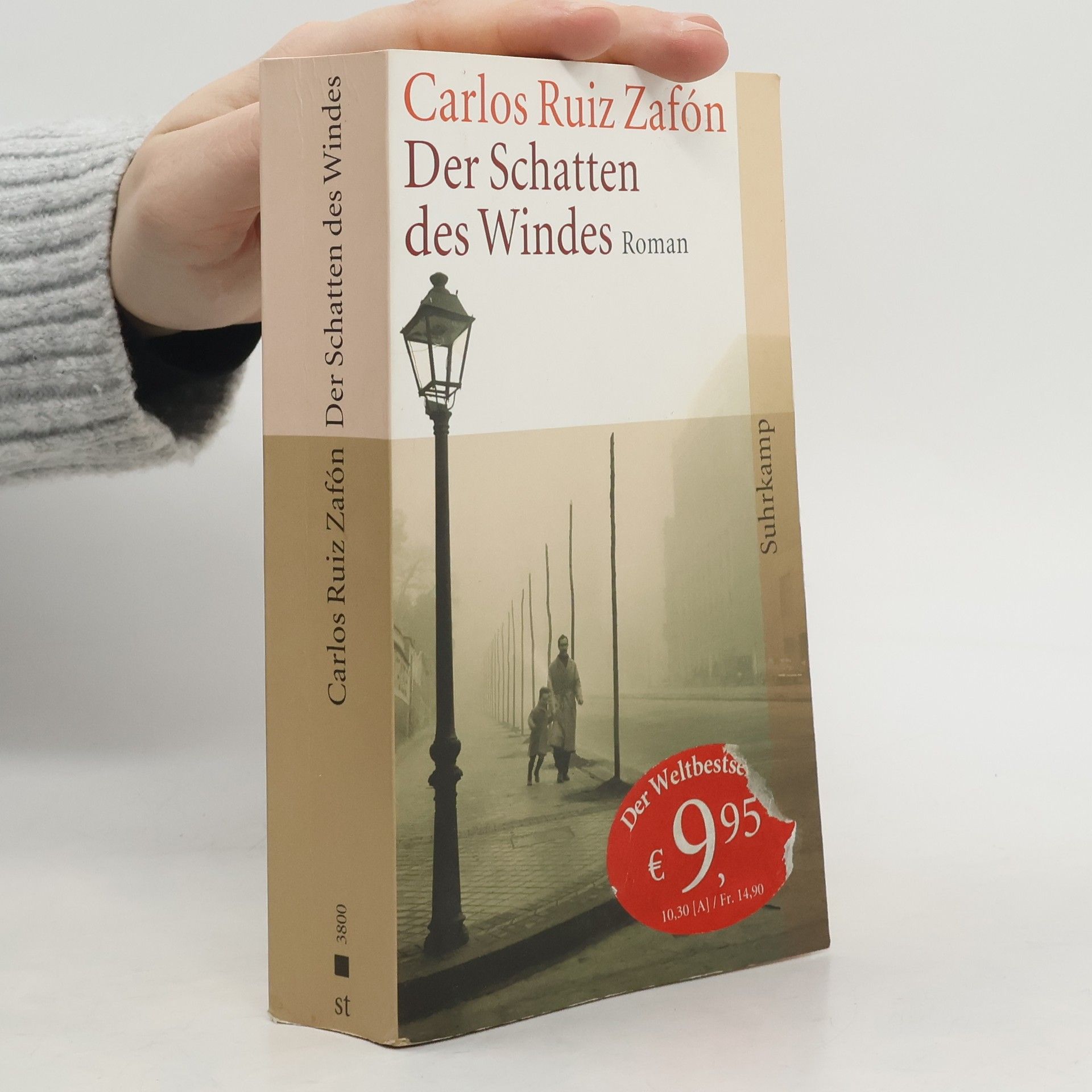 Carlos Ruiz Safon Der Schatten des Windes