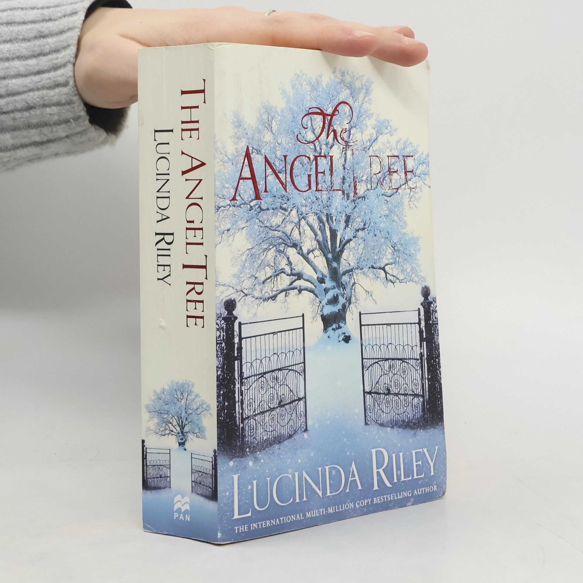 Lucinda Riley The Angel Tree