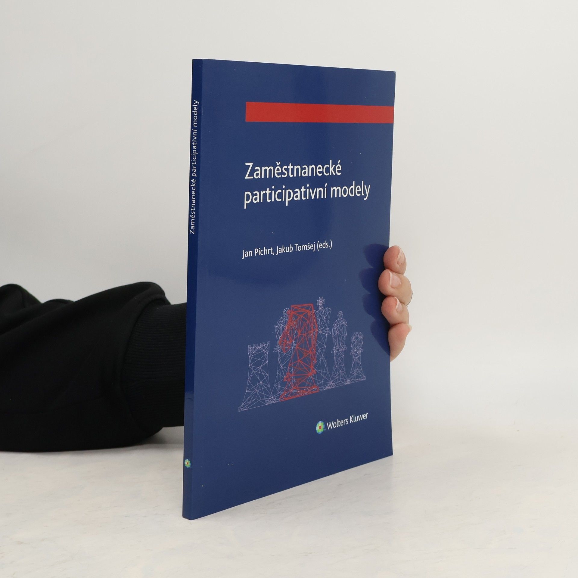 Jan Pichrt Zaměstnanecké participativní modely