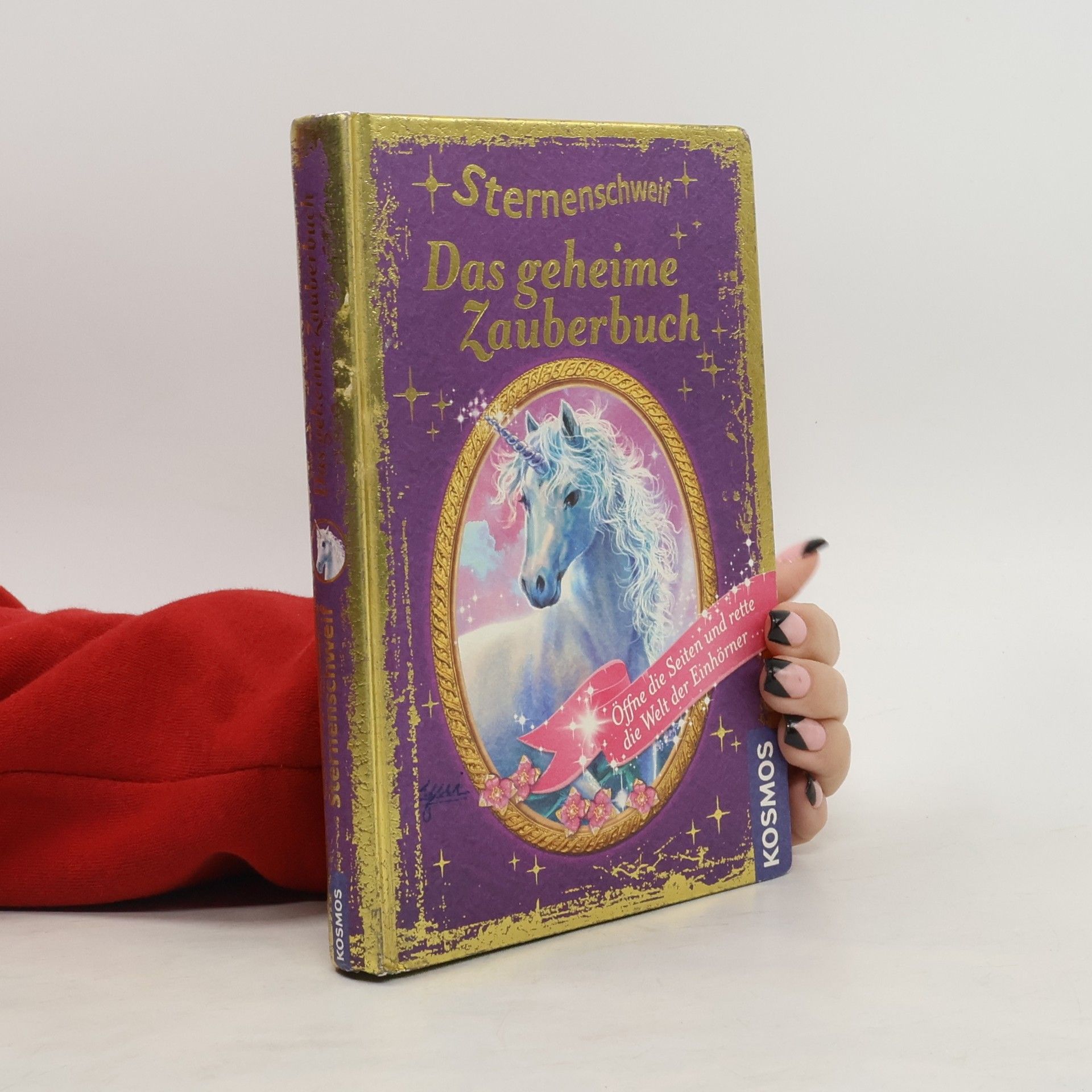 Carolin Ina Schröter Sternenschweif - das geheime Zauberbuch