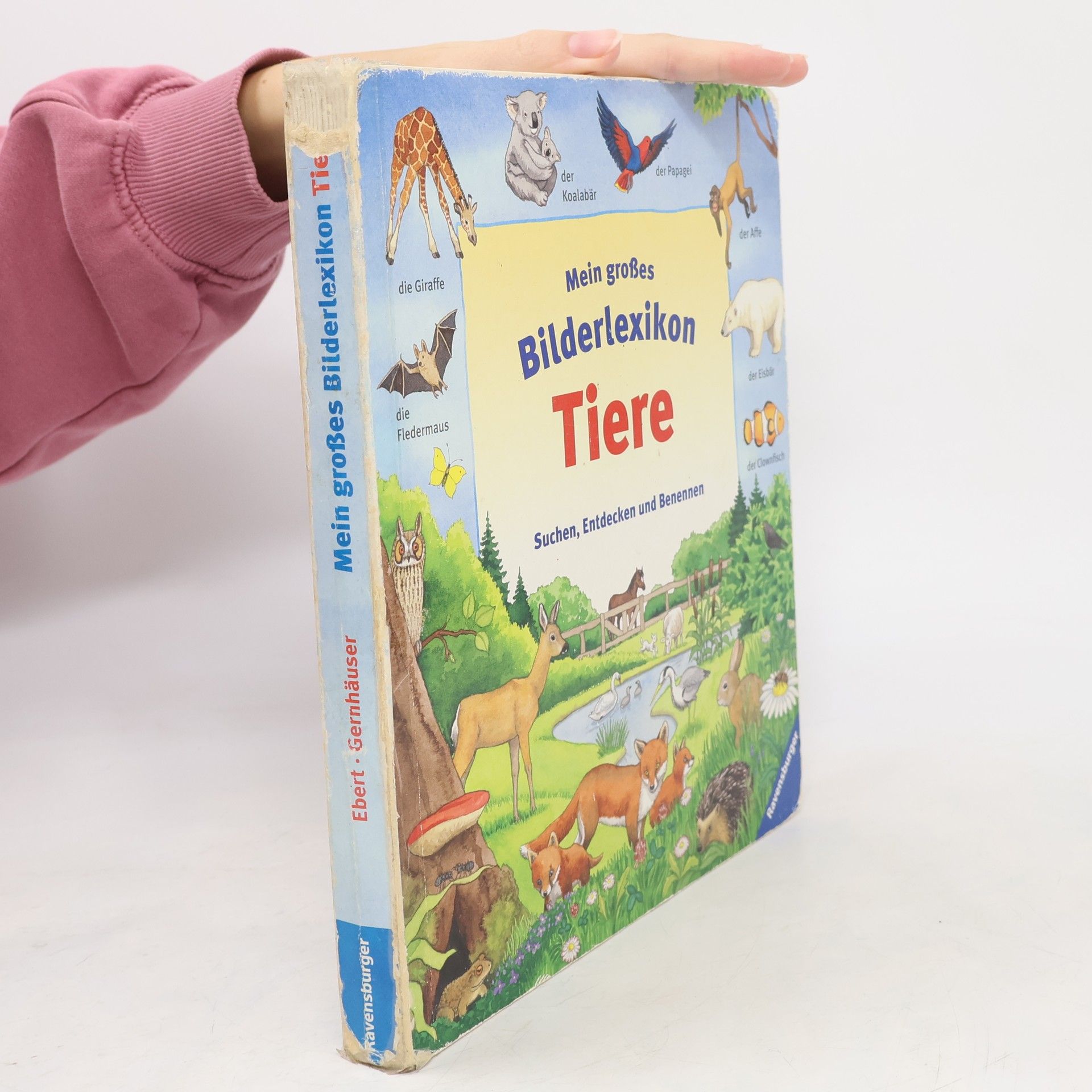 Anne Ebert Mein großes Bilderlexikon Tiere