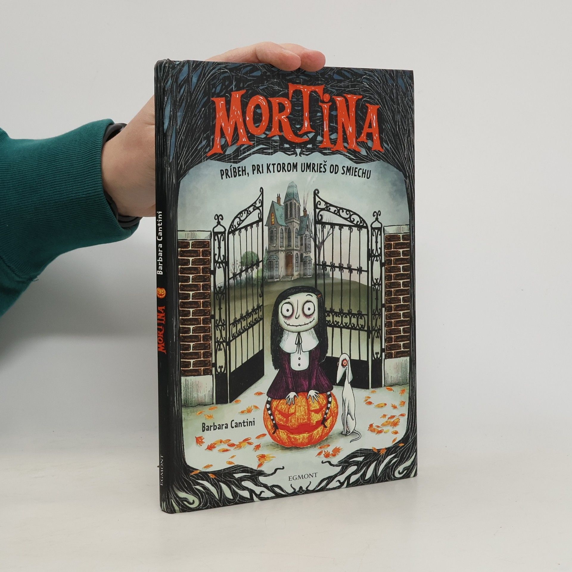 Barbara Cantini Mortina