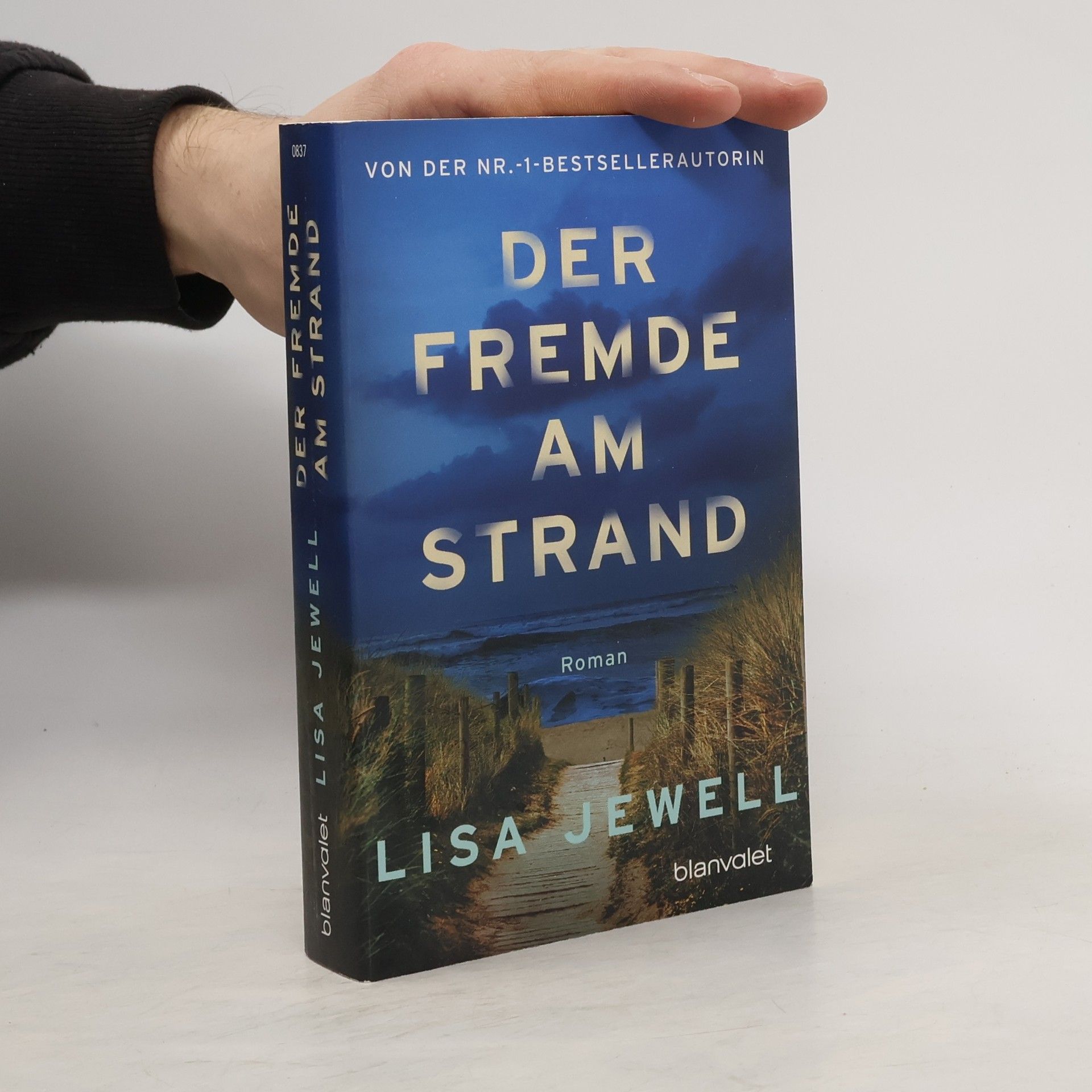 Lisa Jewell Der Fremde am Strand