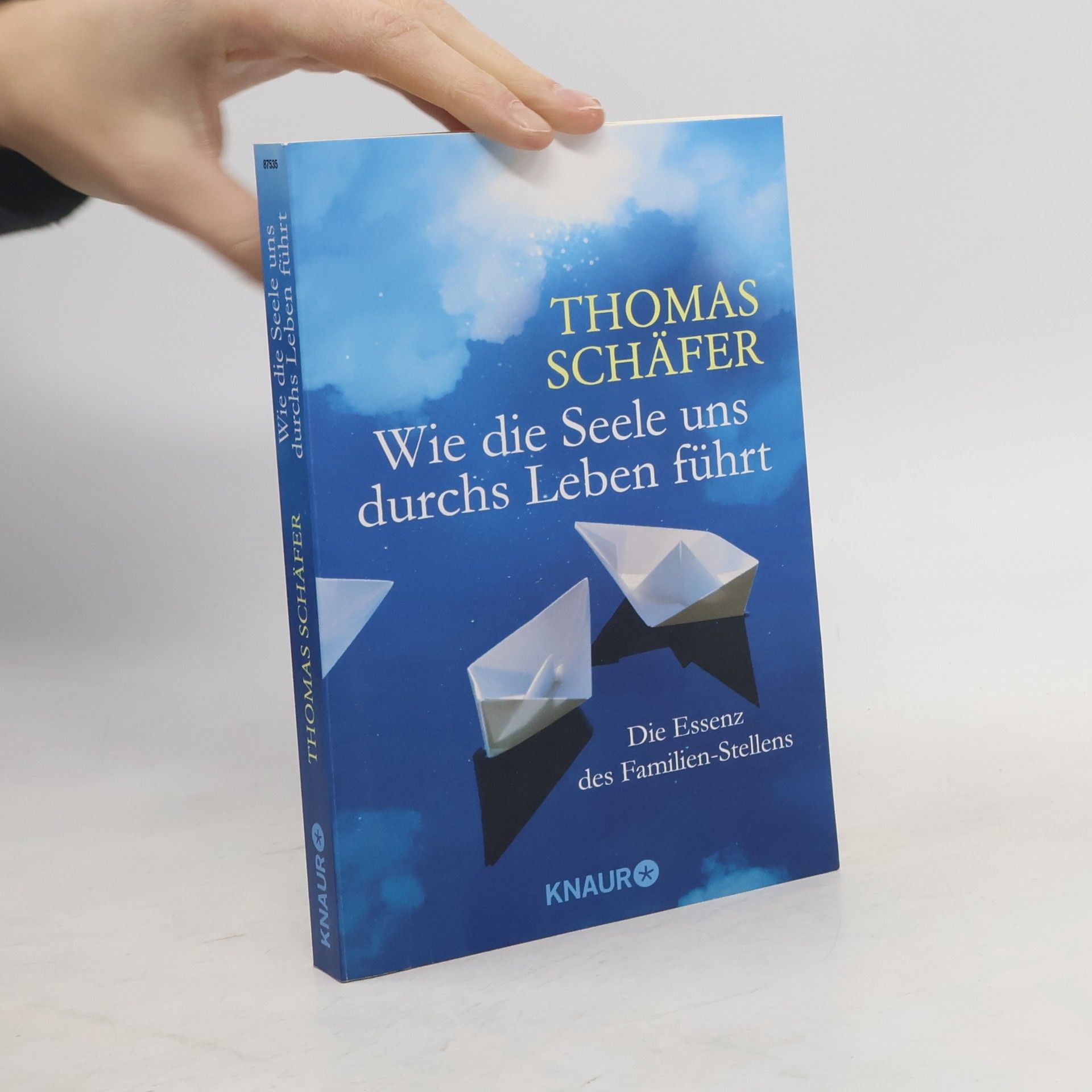 Wie die Seele uns durchs Leben führt