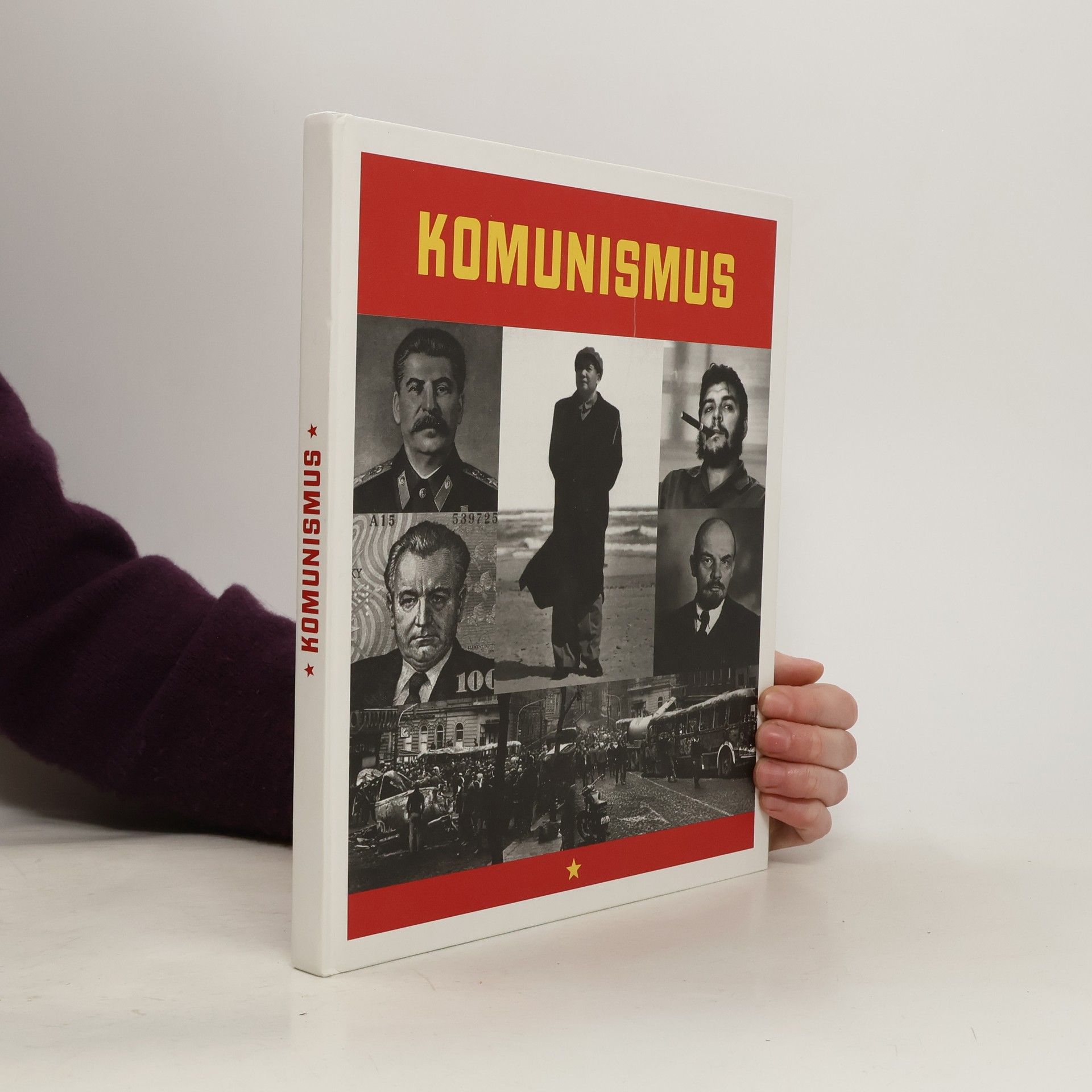 Marcello Flores Komunismus