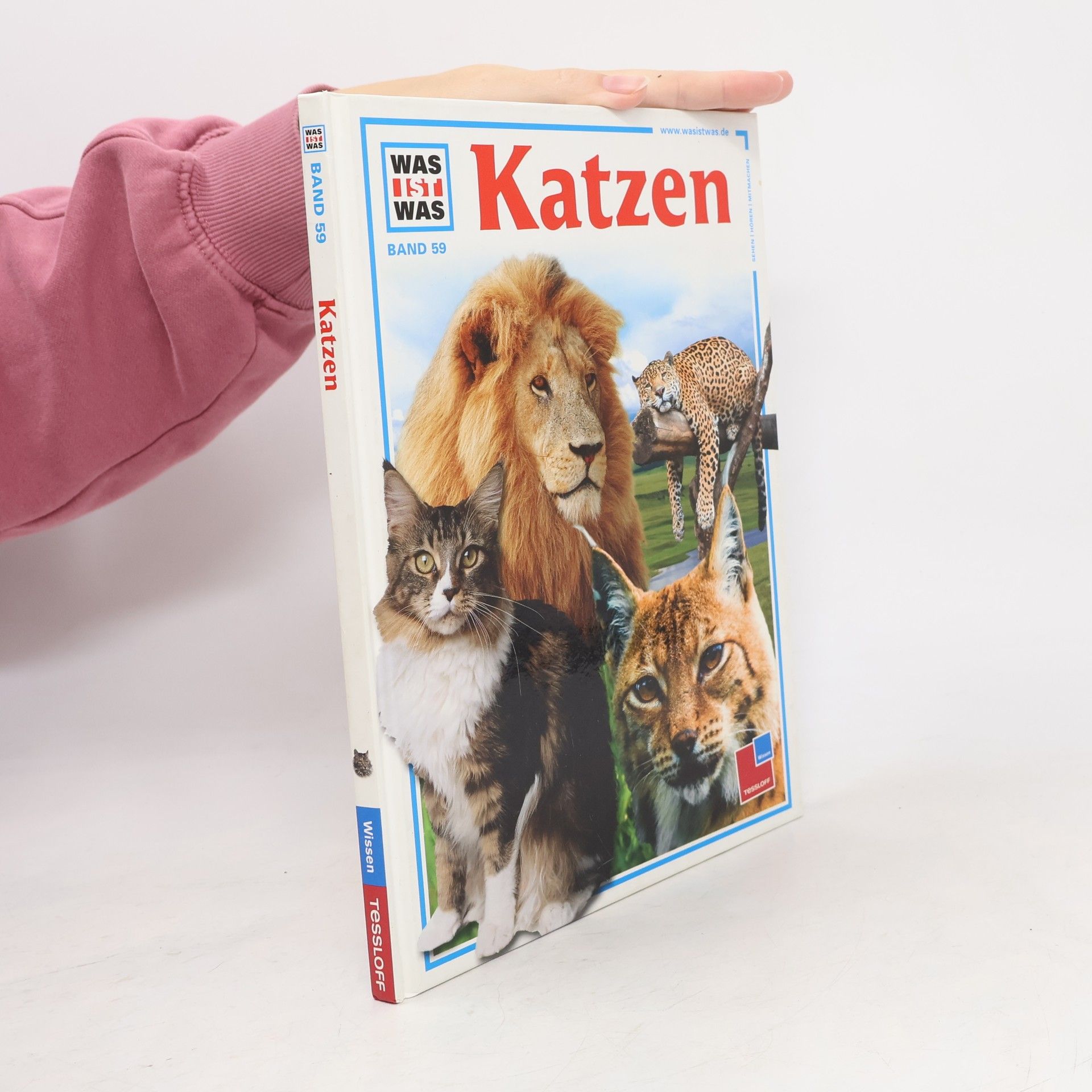 Katzen