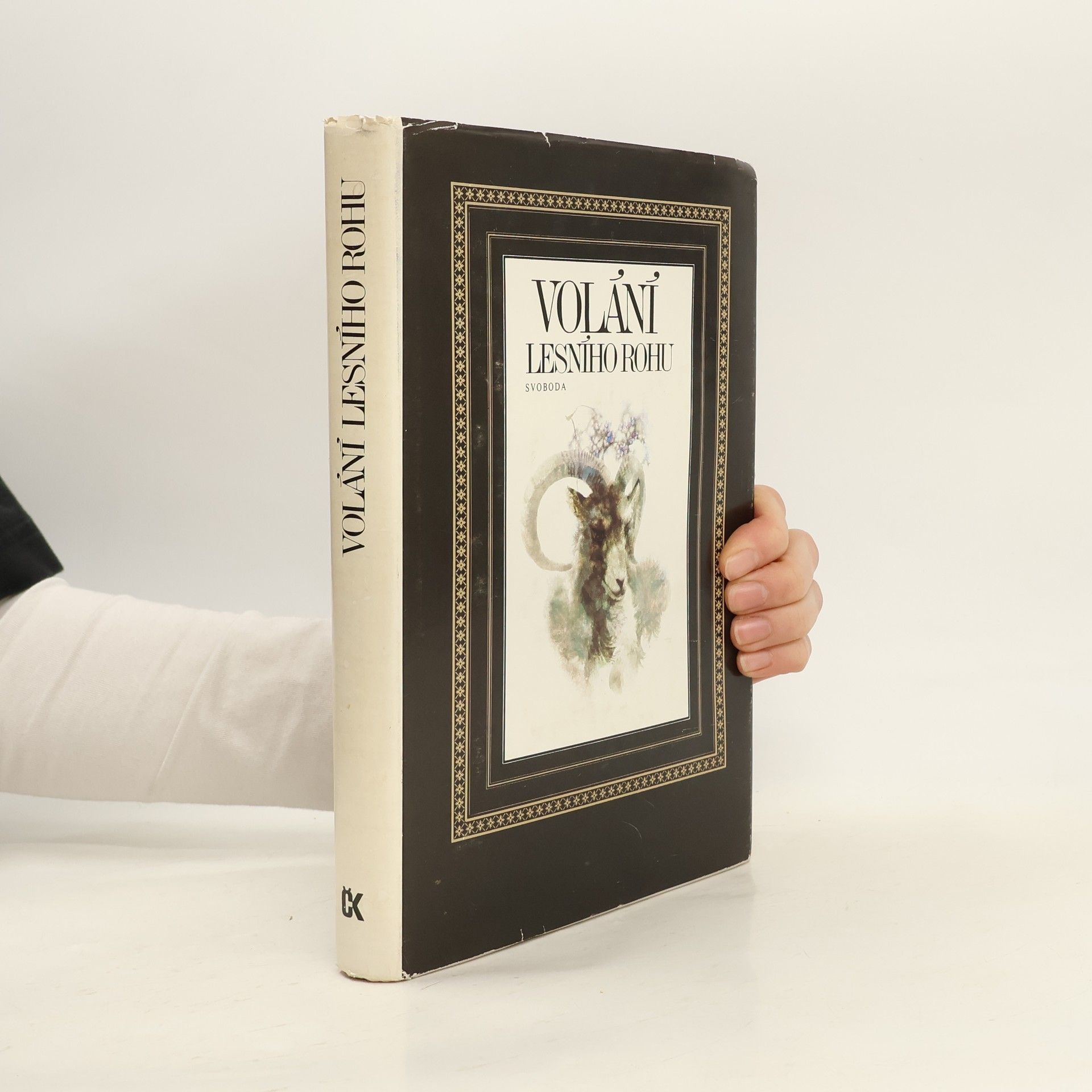 Autorenkollektiv Volání lesního rohu