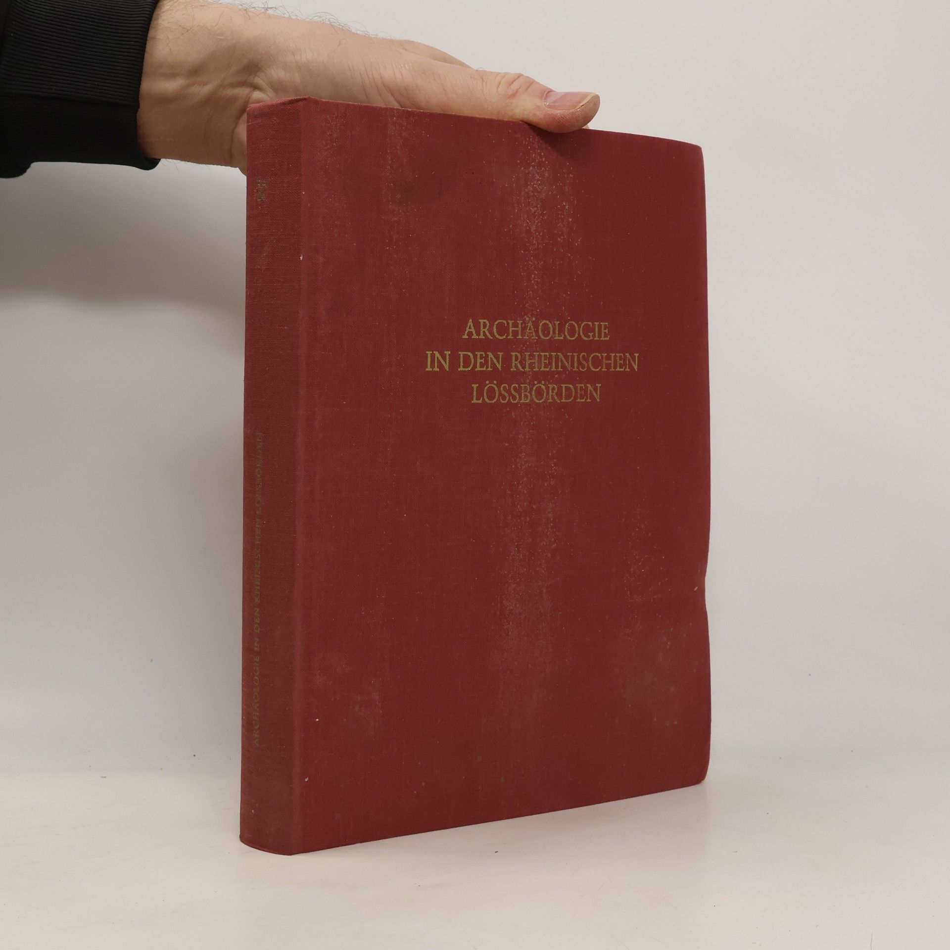 Rheinische Ausgrabungen: Archäologie in den rheinischen Lössbörden