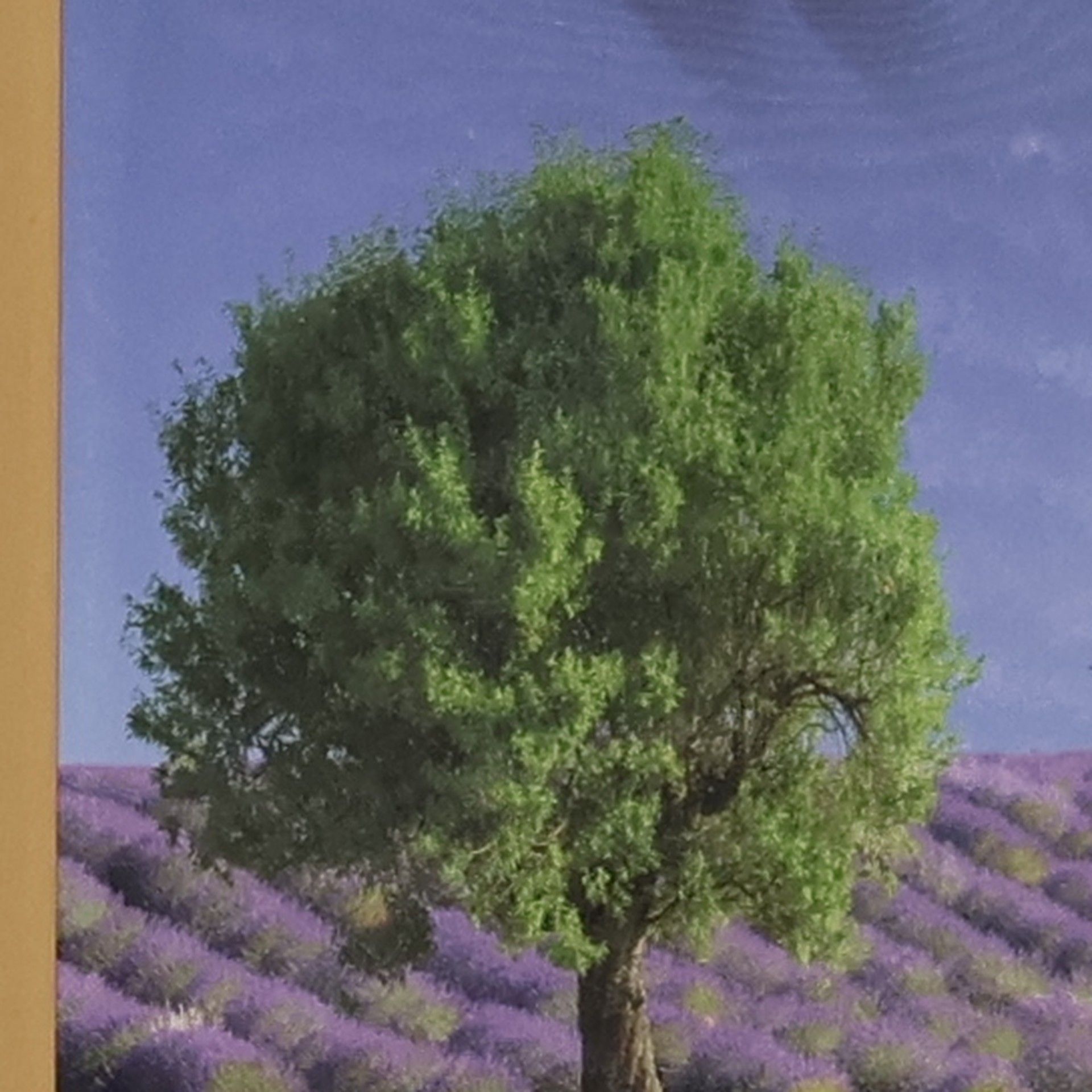 Michael Bengel Lesereise Provence