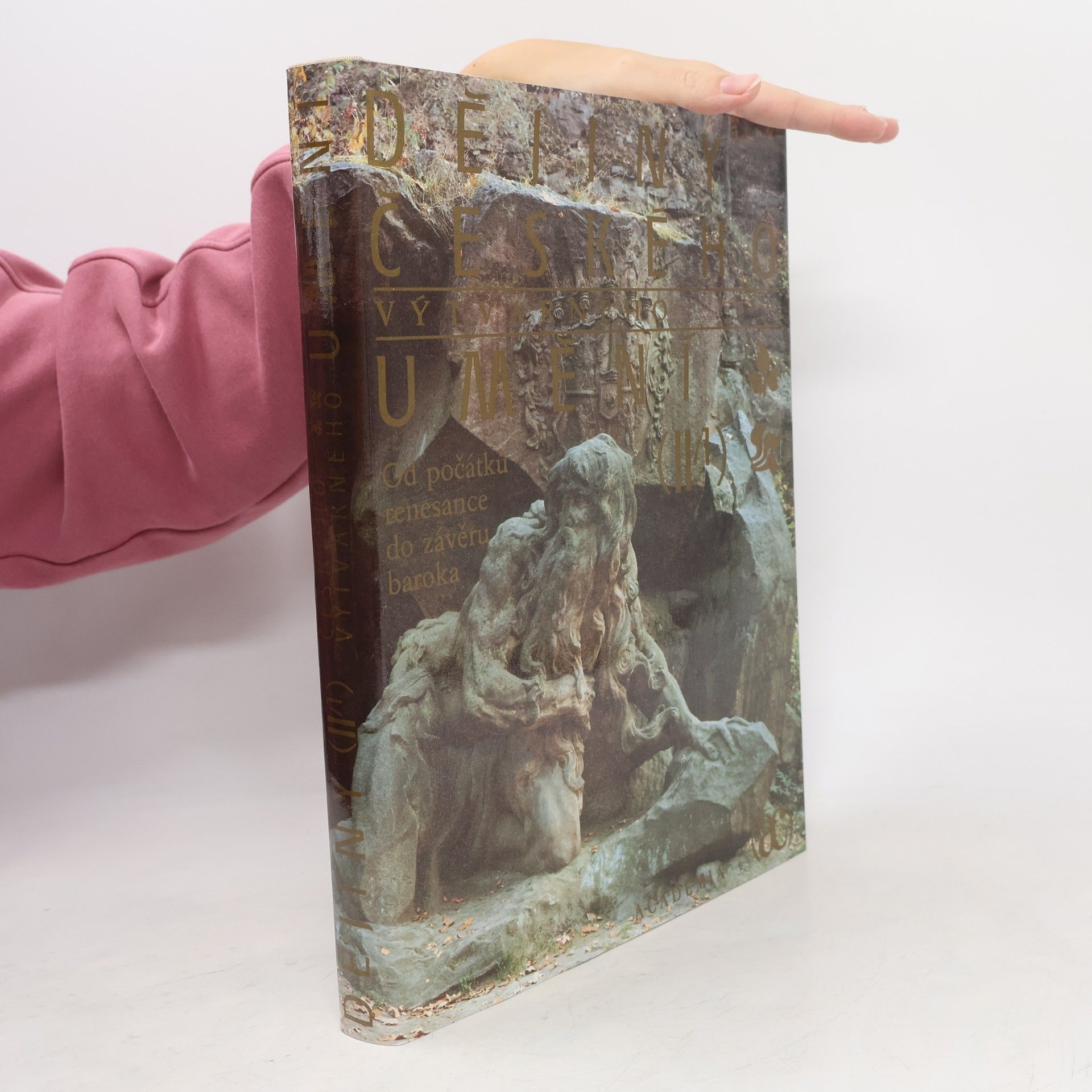 AA.VV. Dějiny českého výtvarného umění II/1