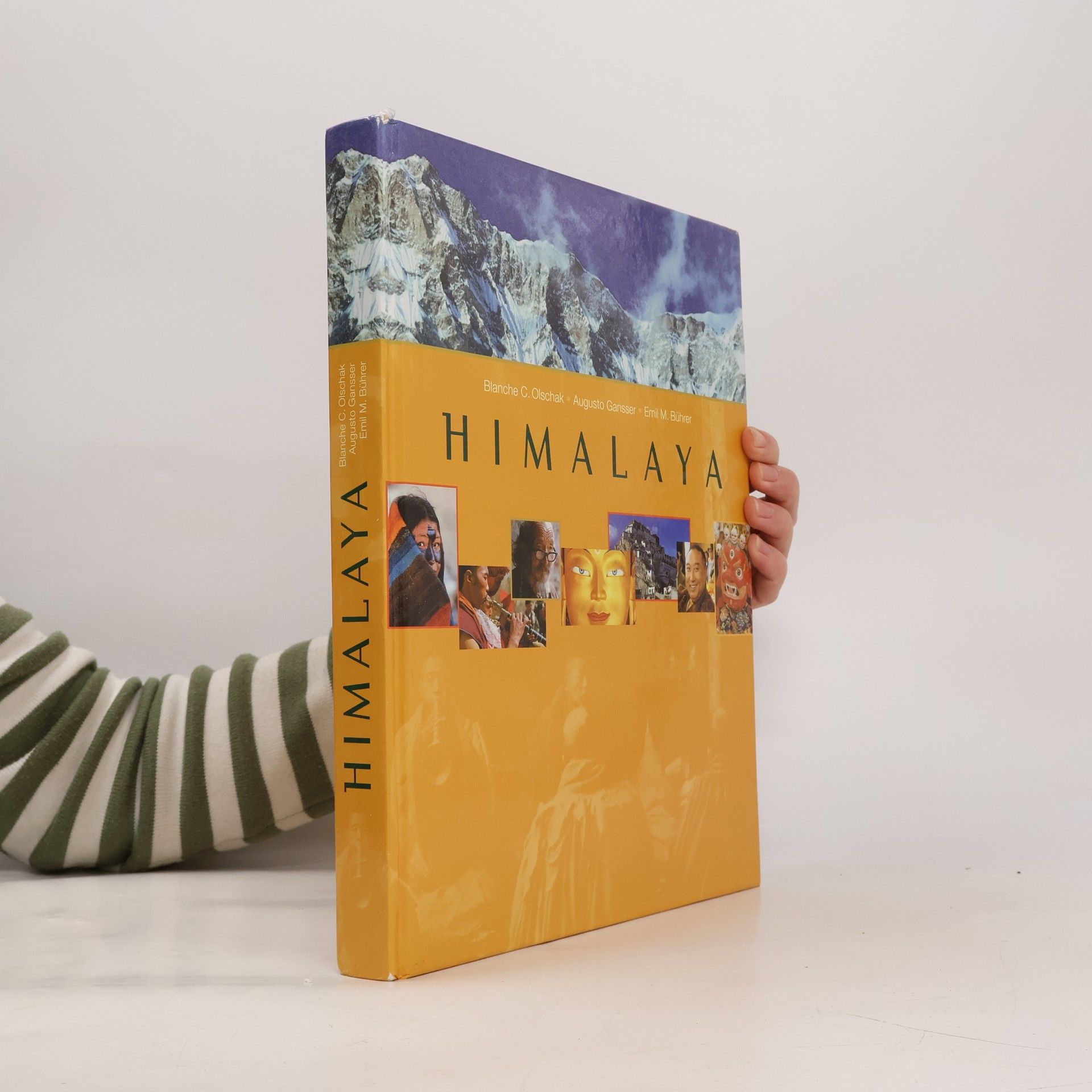 Emil M. Bührer Himalaya