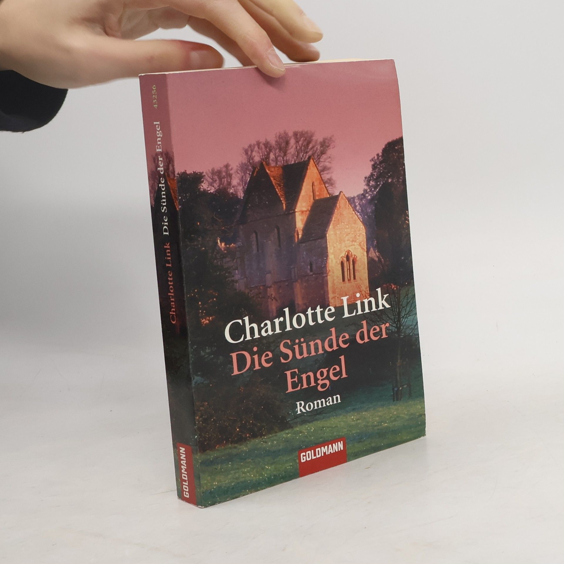 Charlotte Link Die Sünde der Engel