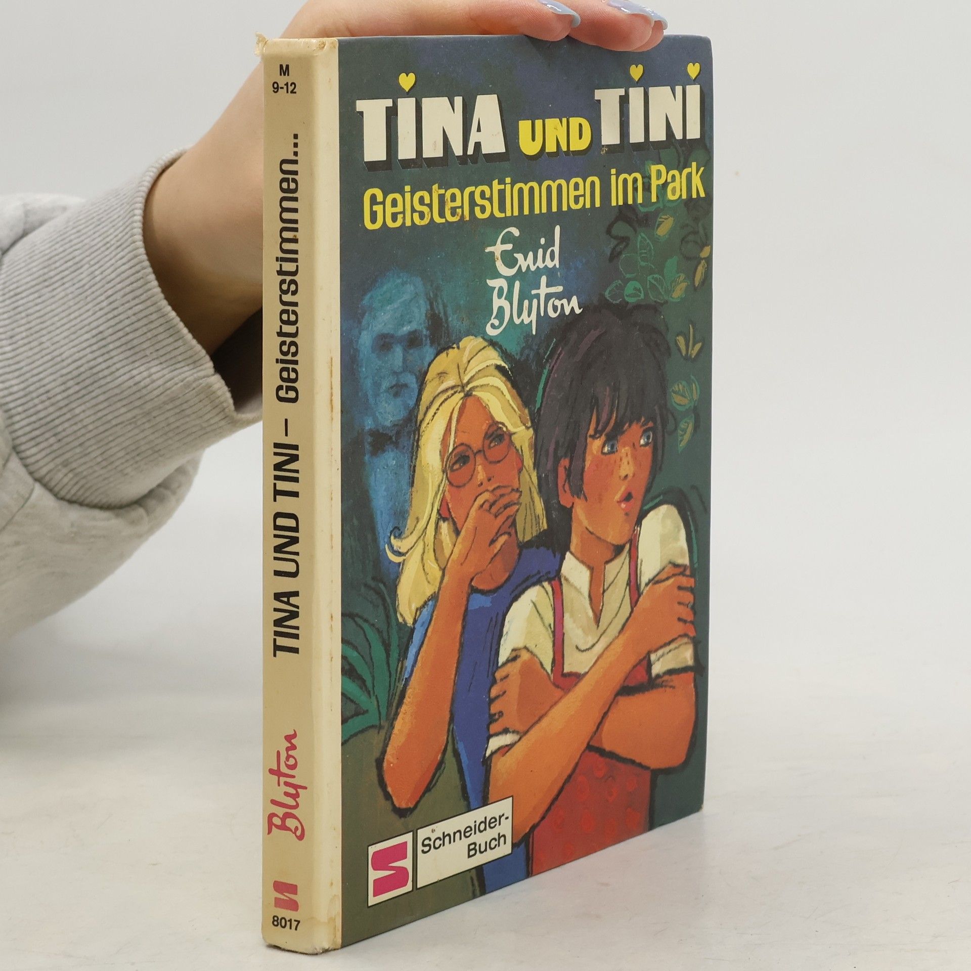 Enid Blyton Tina und Tini. Geisterstimmen im Park
