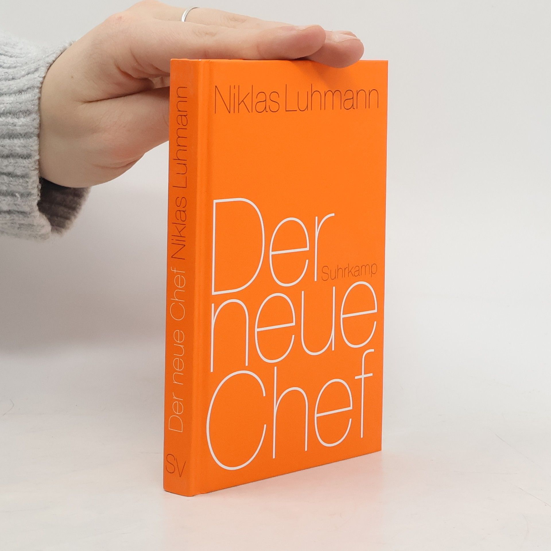 Niklas Luhmann Der neue Chef