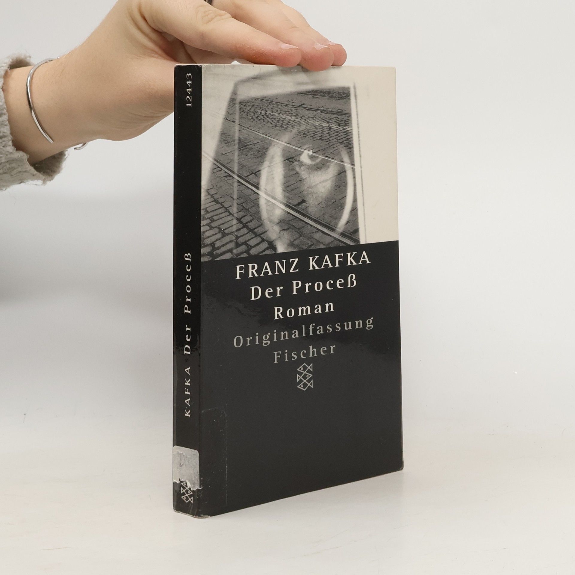 Franz Kafka Der Process